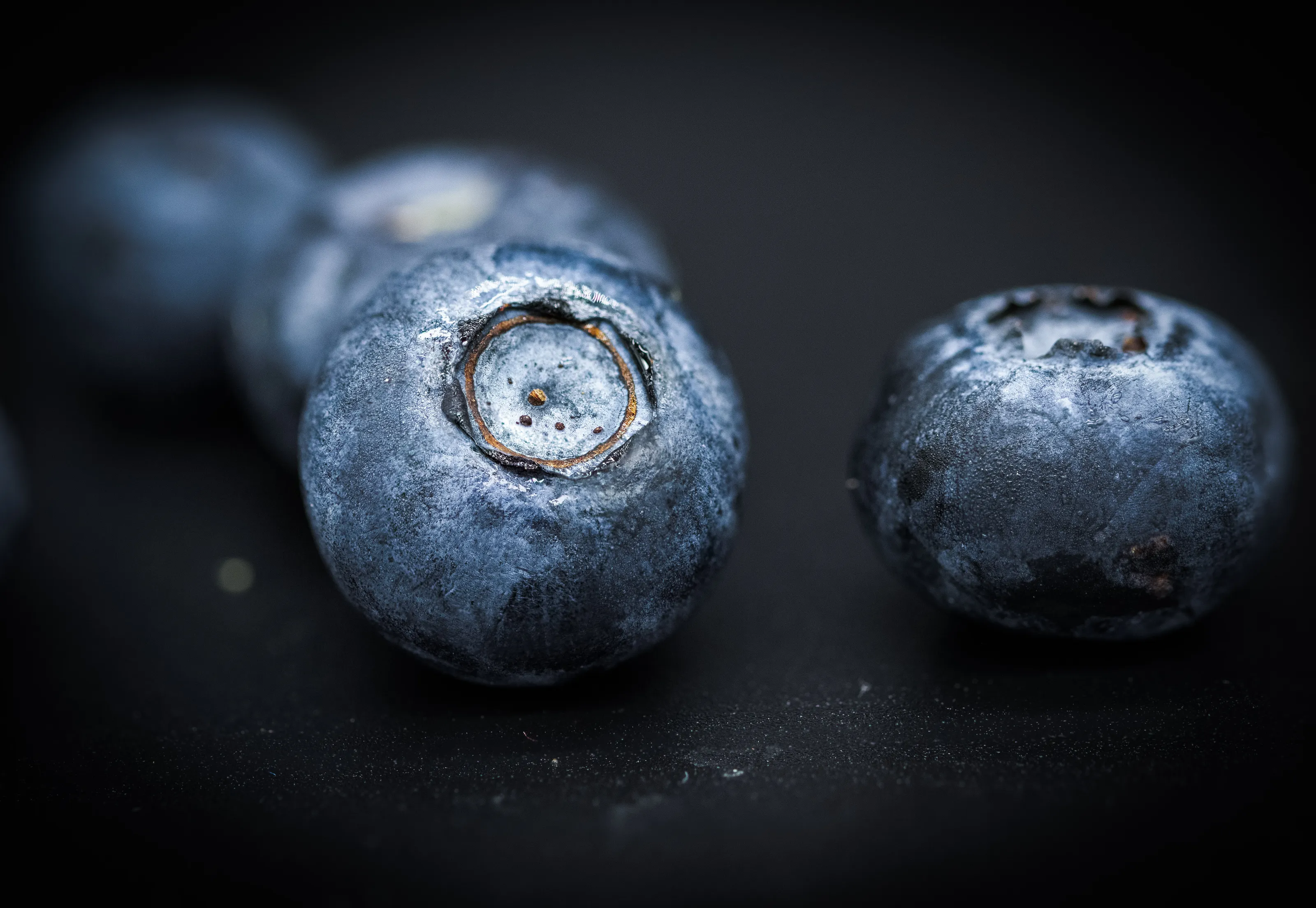 Blueberry 2