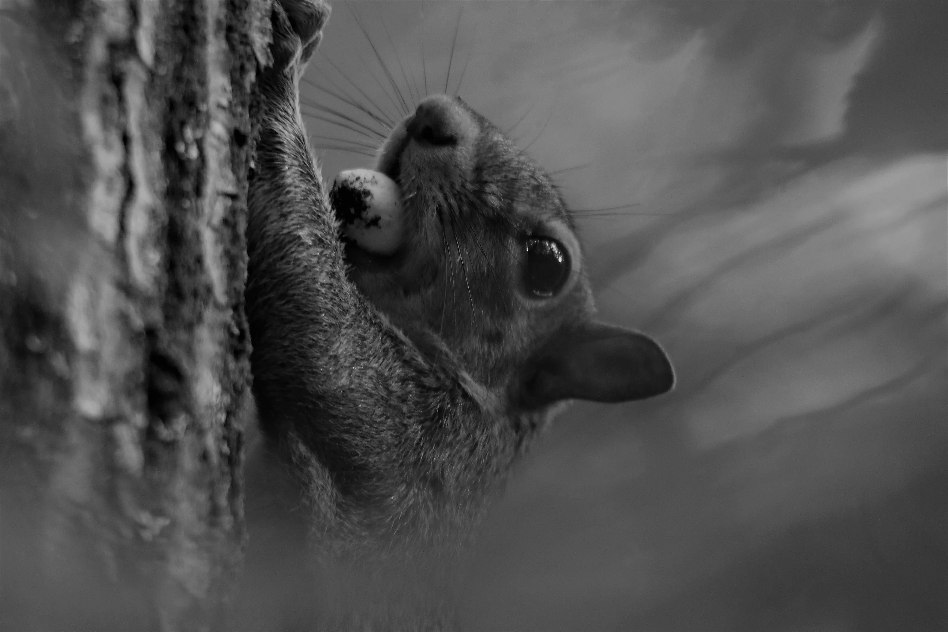 Reaching for the Peak