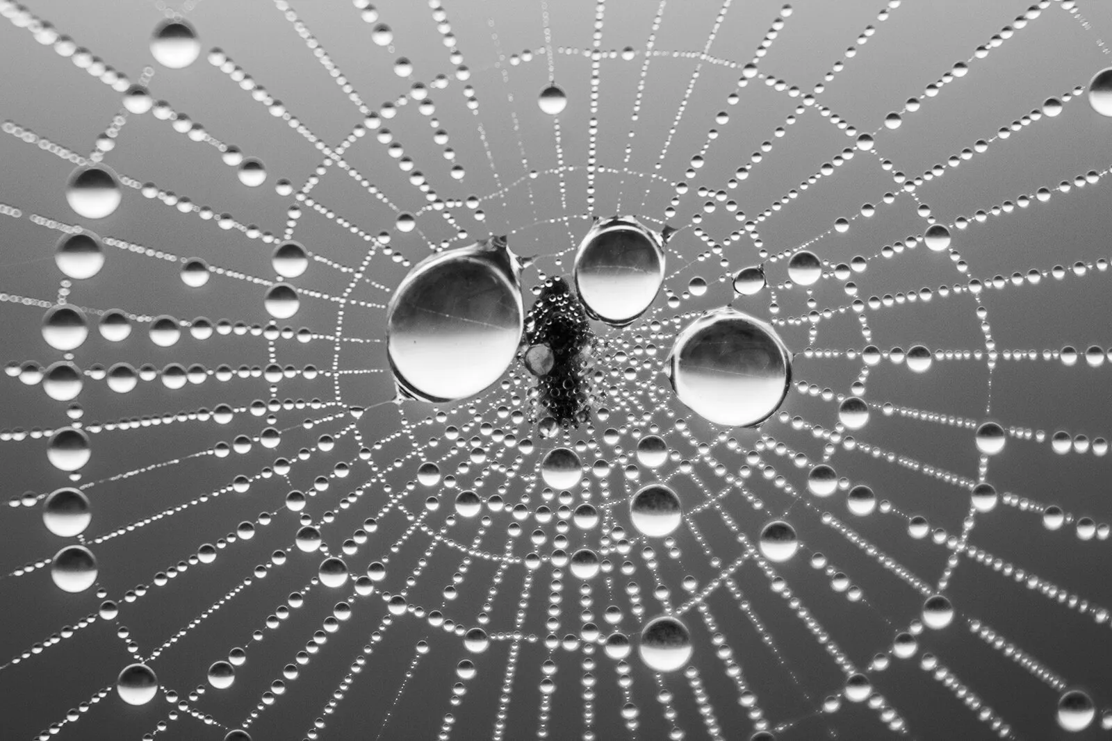 Circles