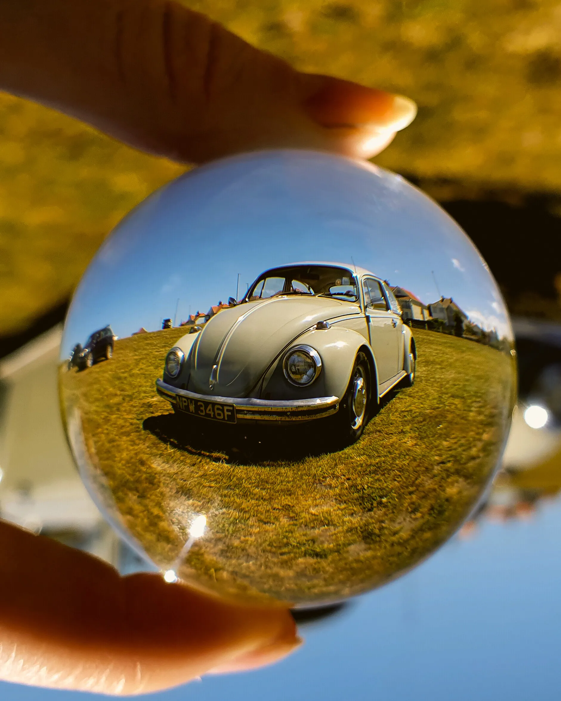 Lensball - Beetle