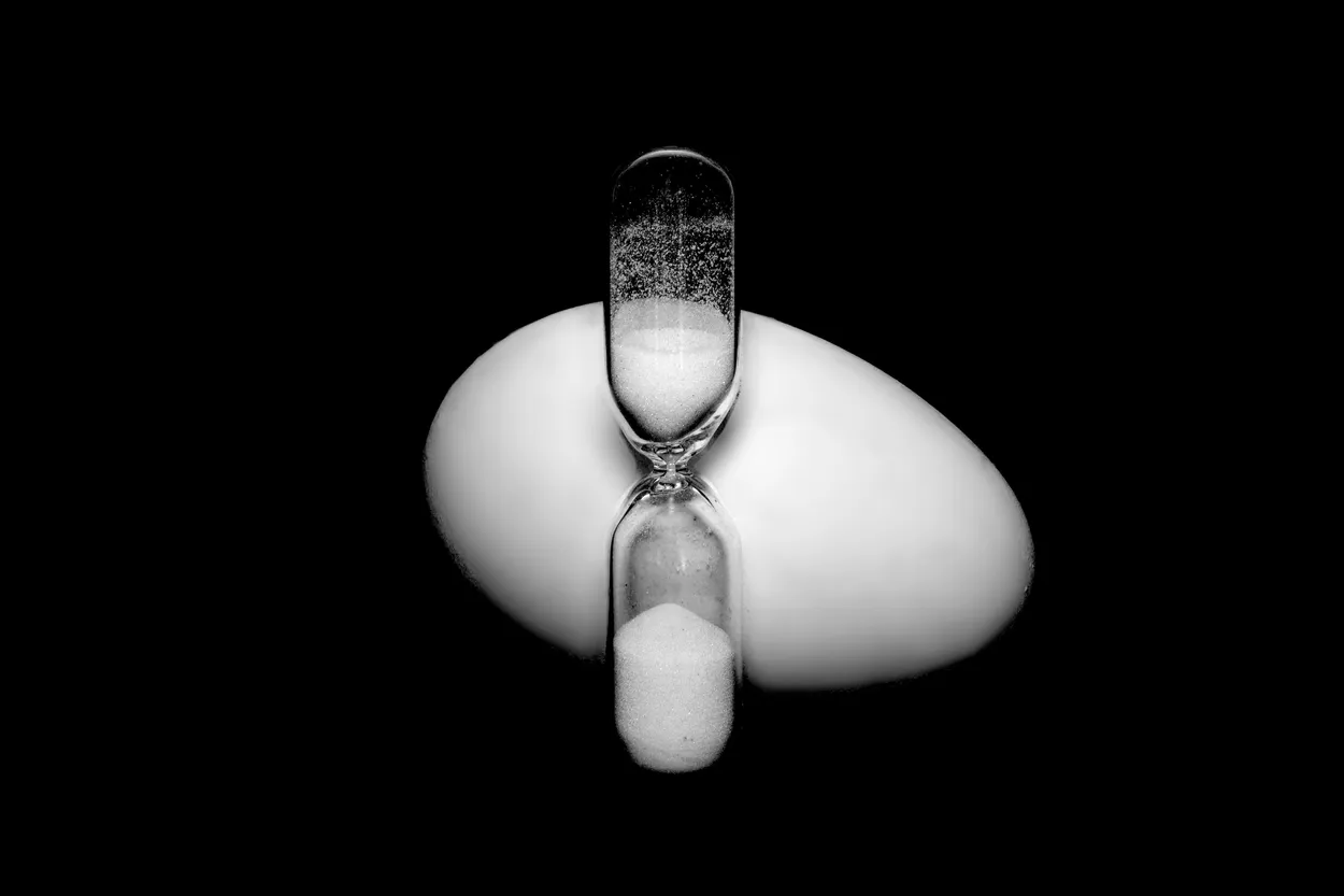Egg Timer Egg