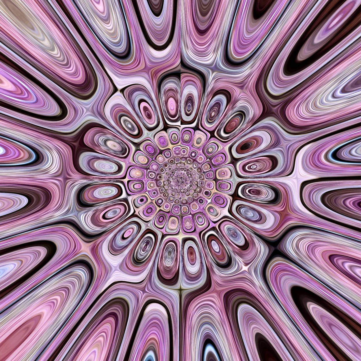 Entry 7211850