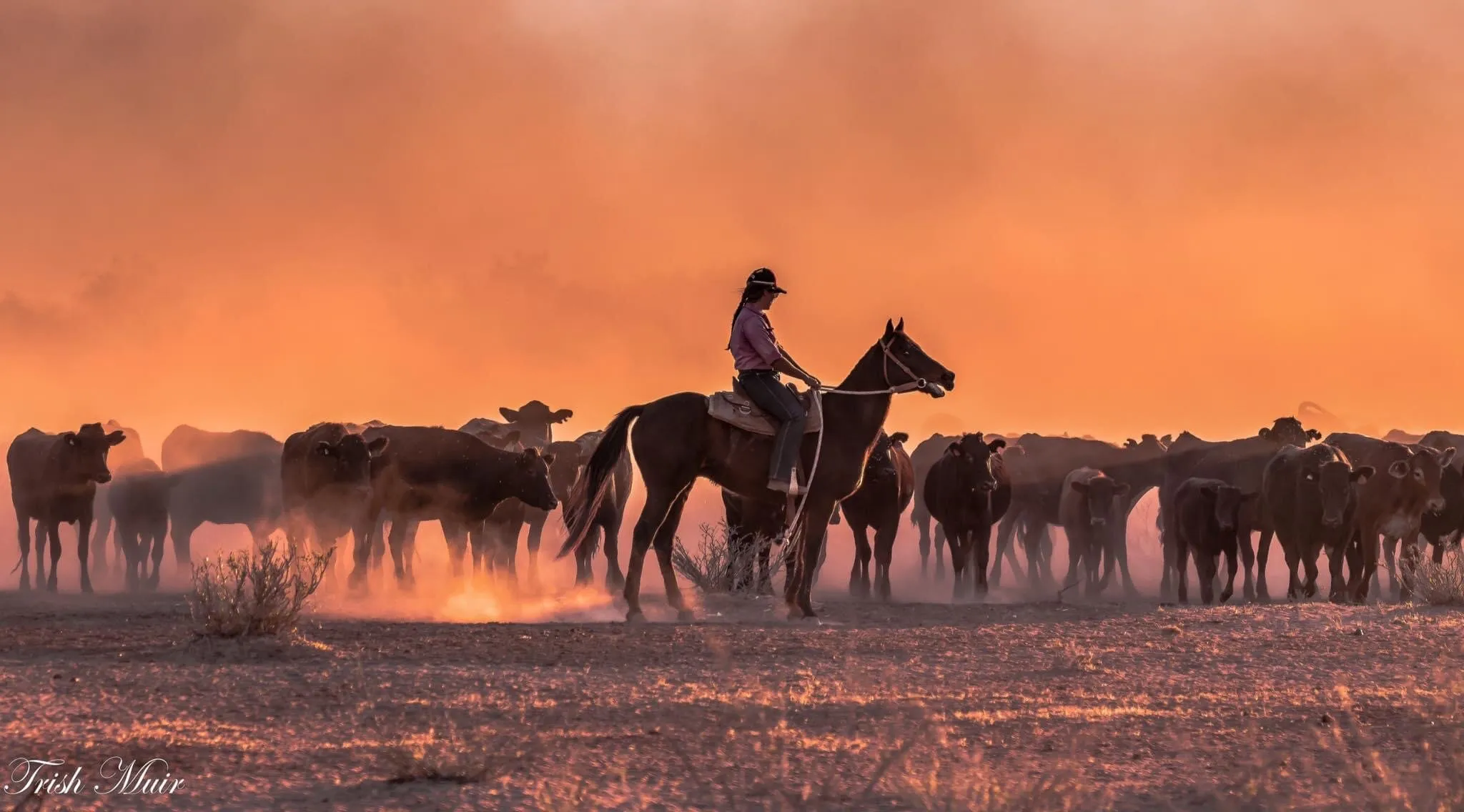Mustering