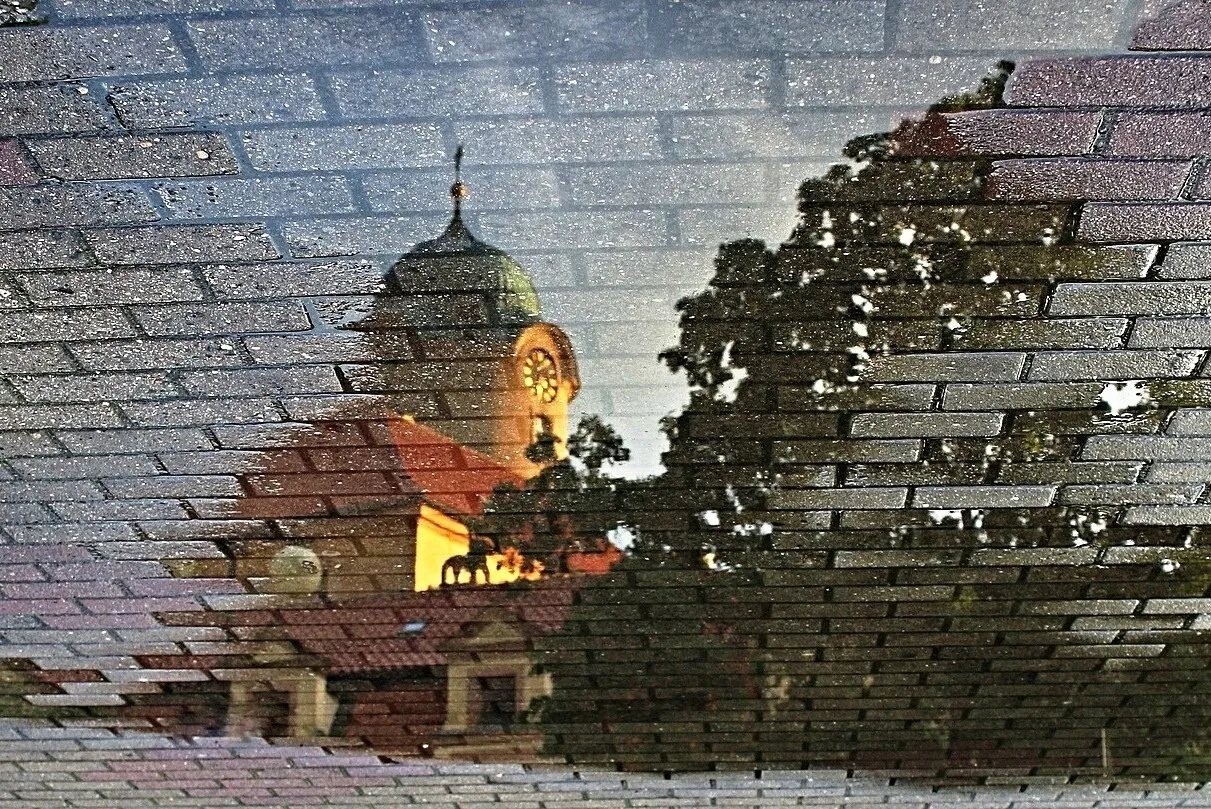 Entry 11561112
