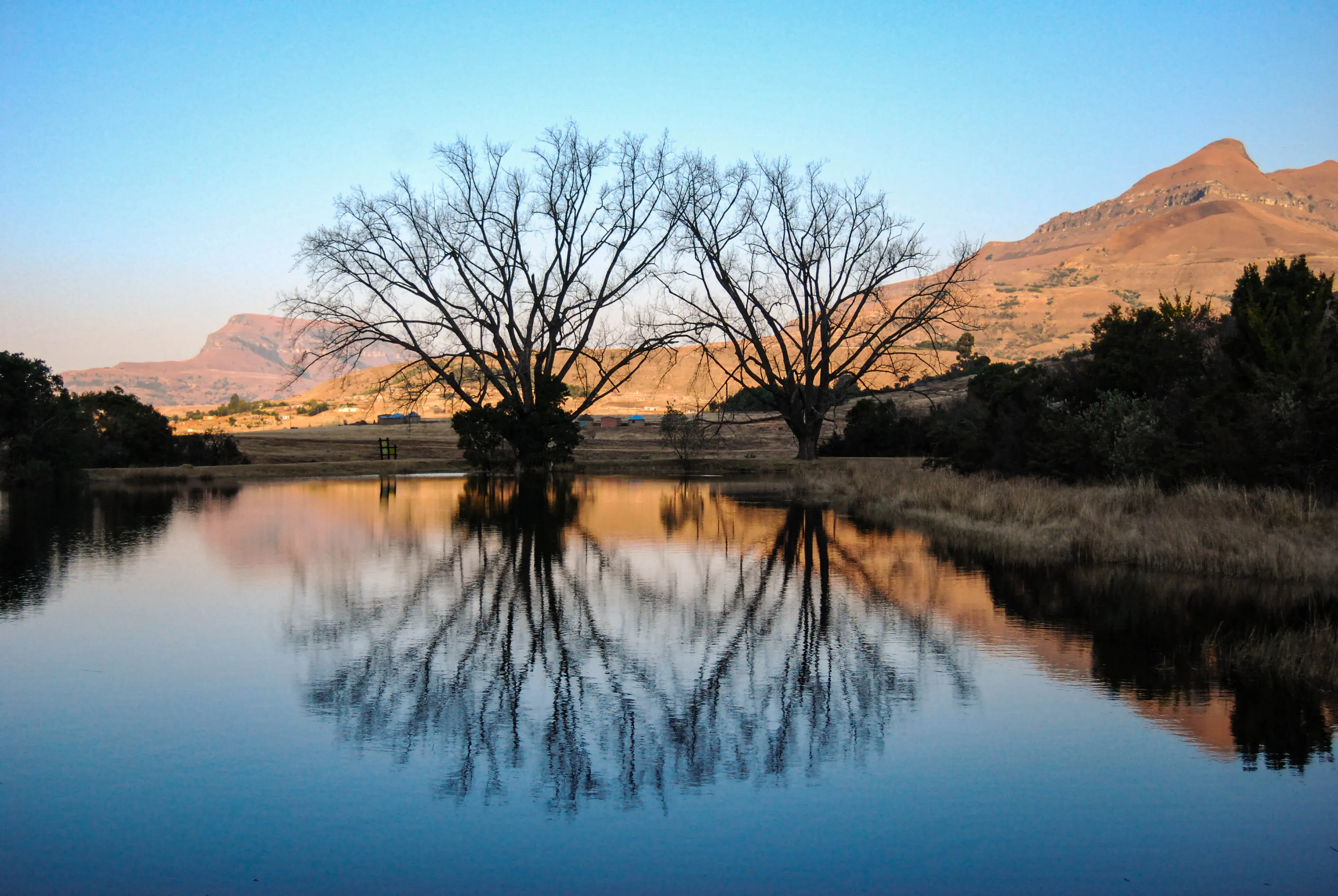 Winter Water Reflections