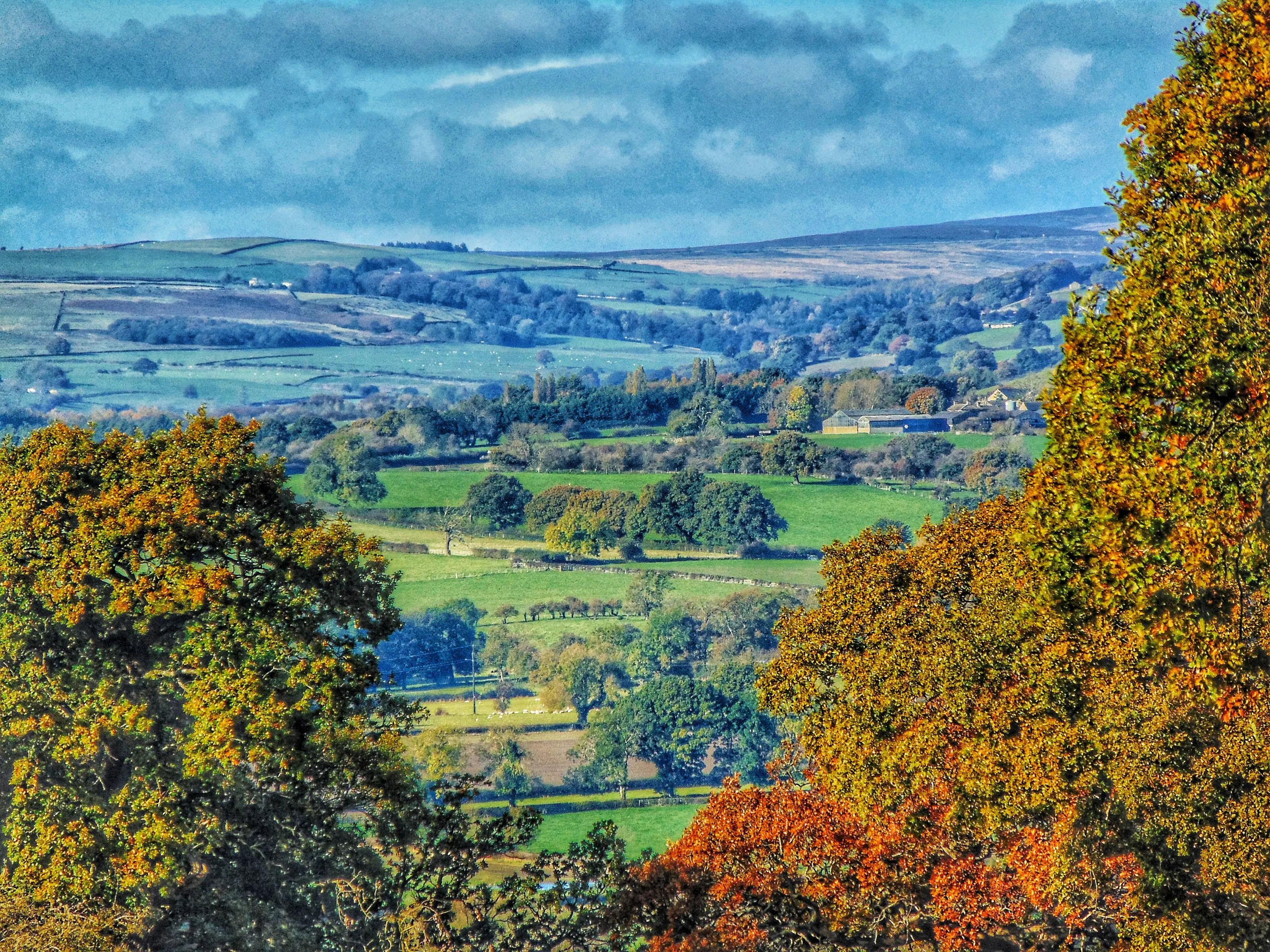 Wharfe Valley from Harewood Bank