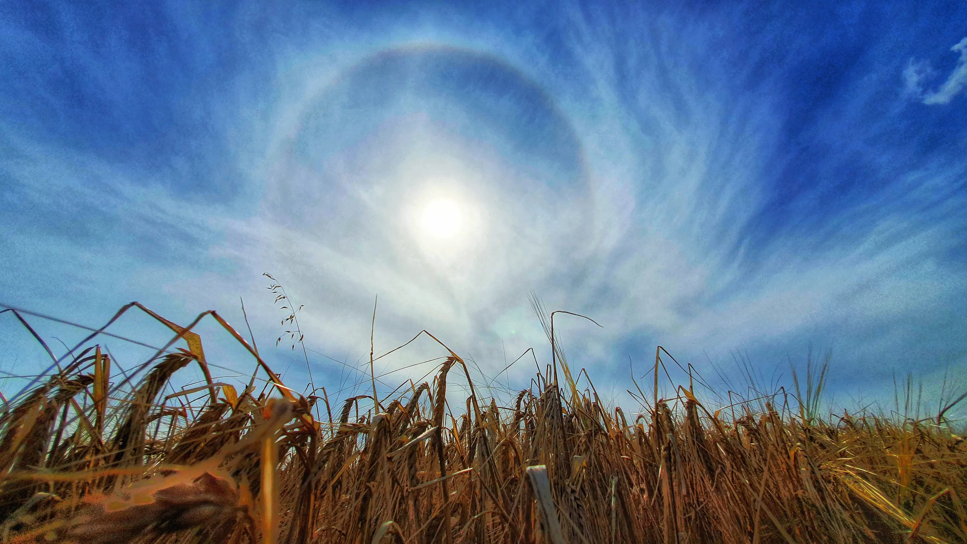 Circular halo