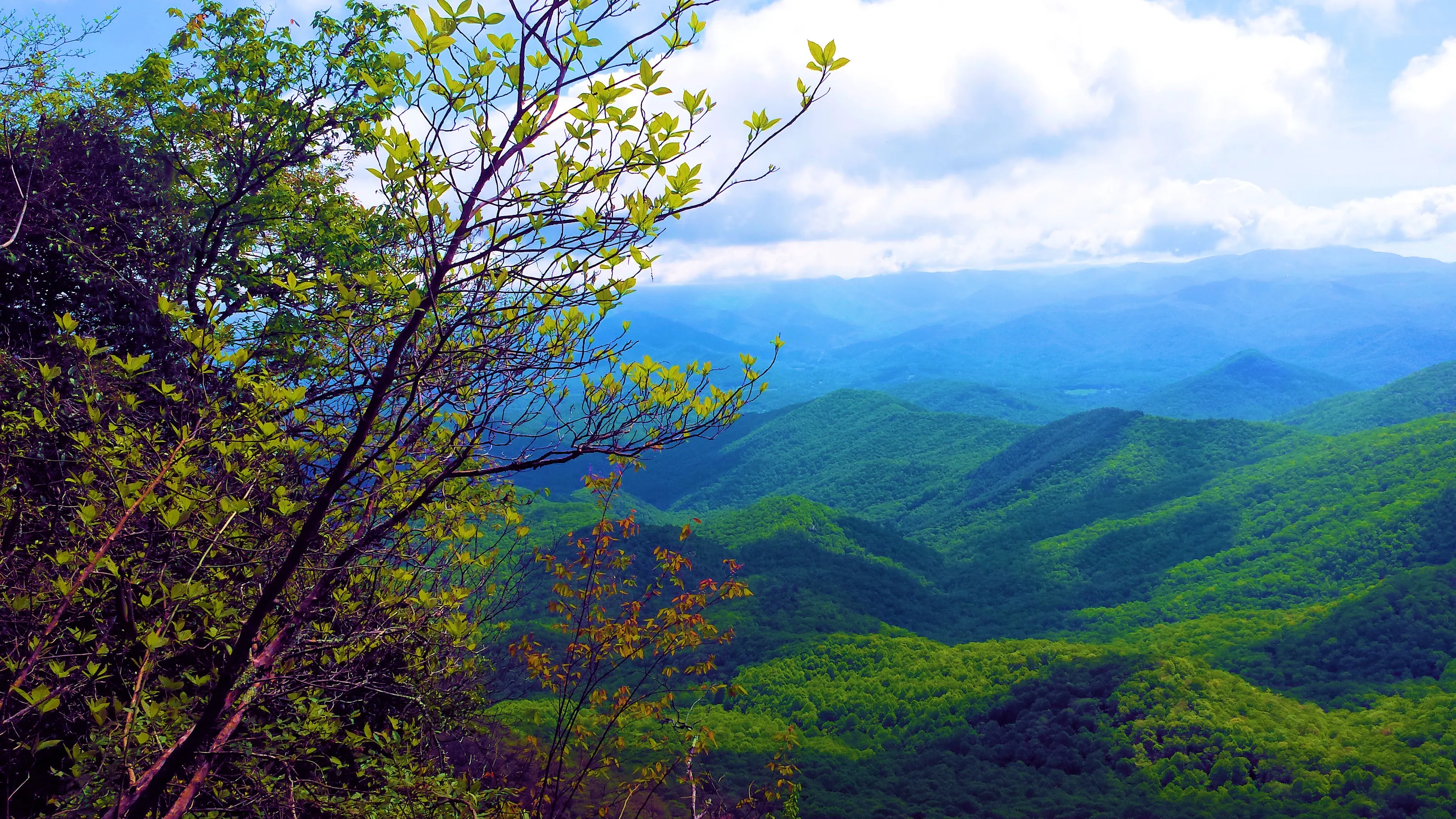Peak on Appalachian Trail