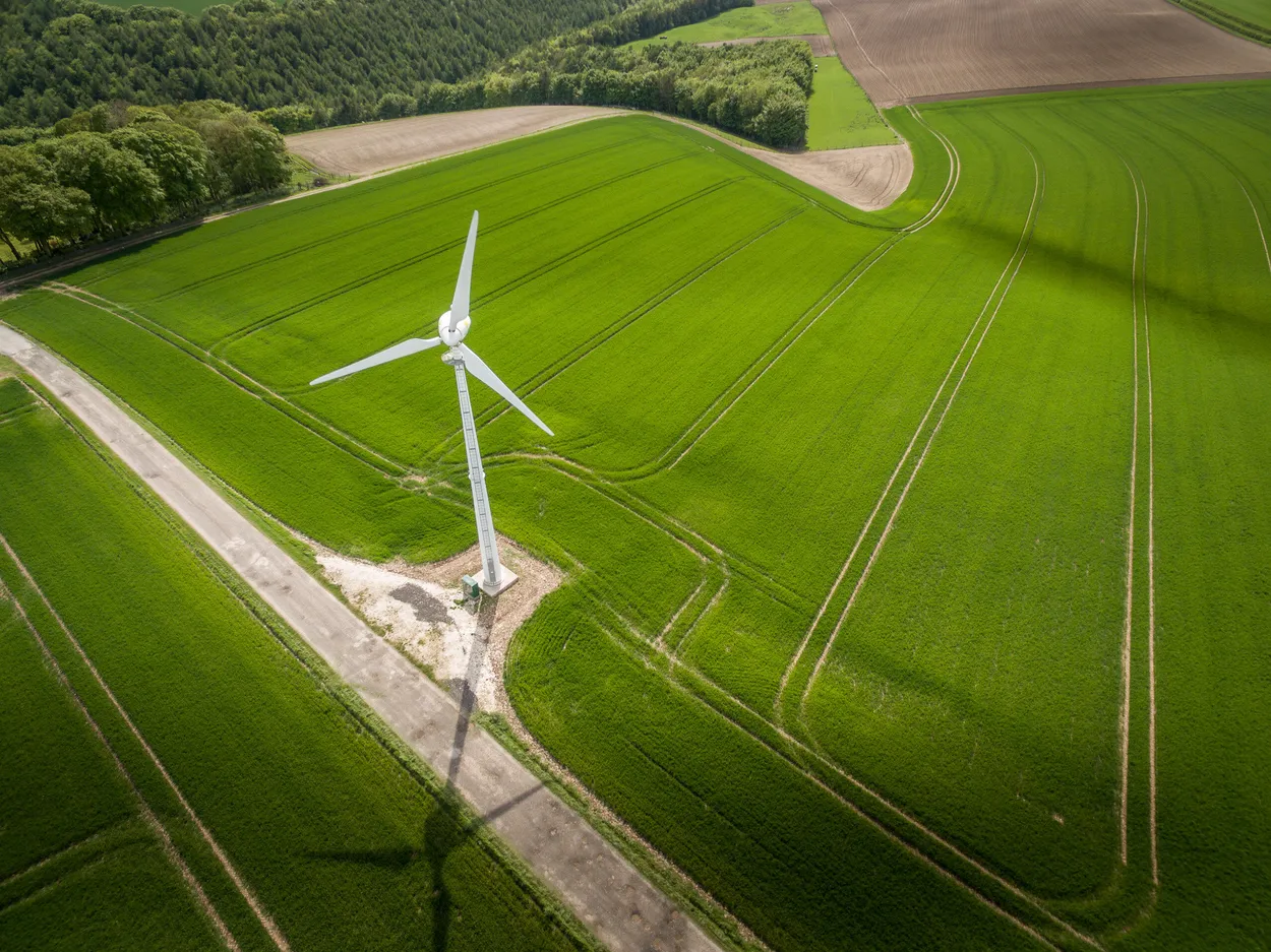 Entry 381608