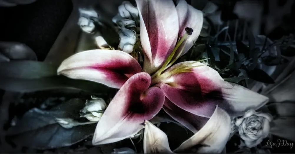 Stand Out