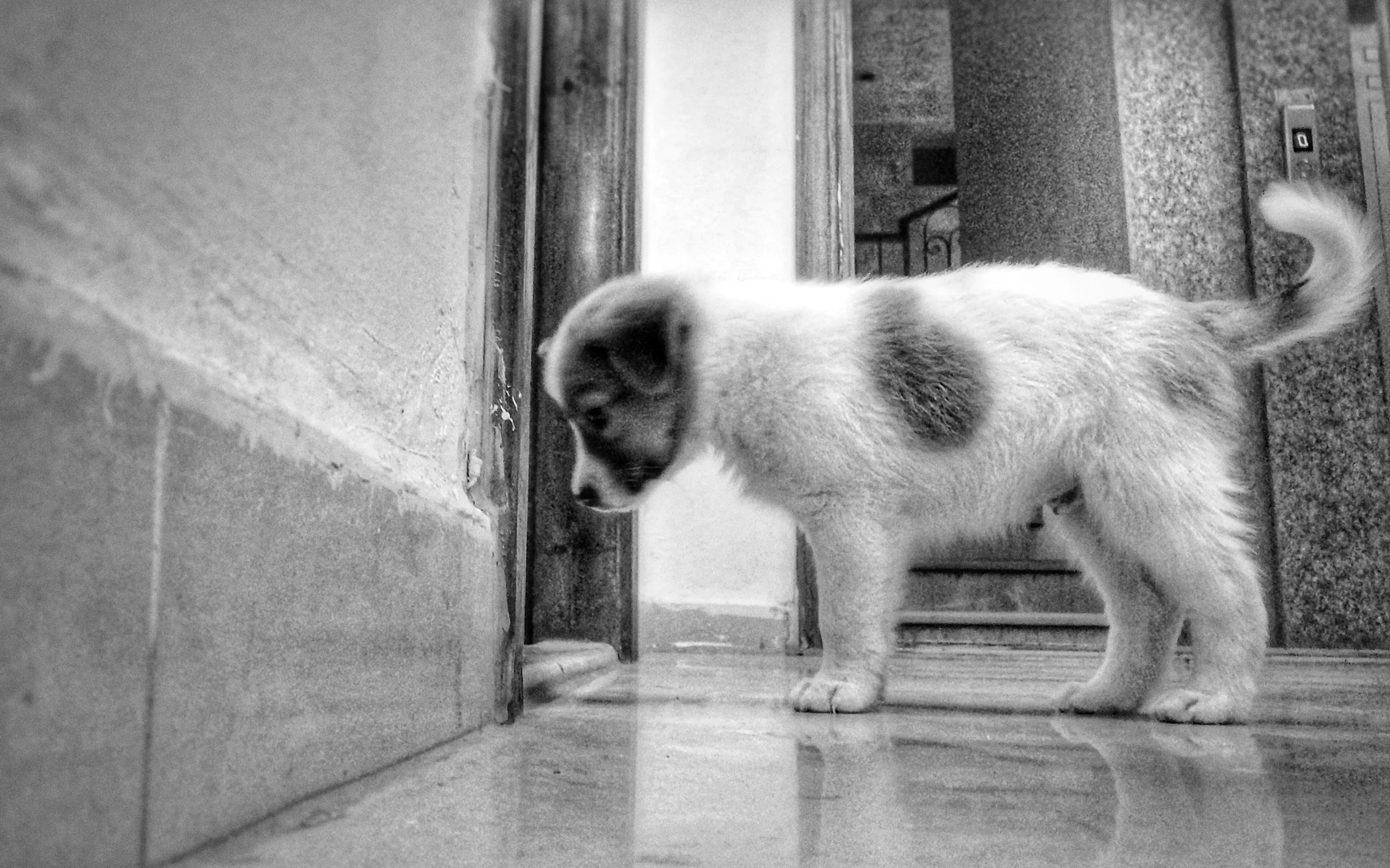 I will be a good boy