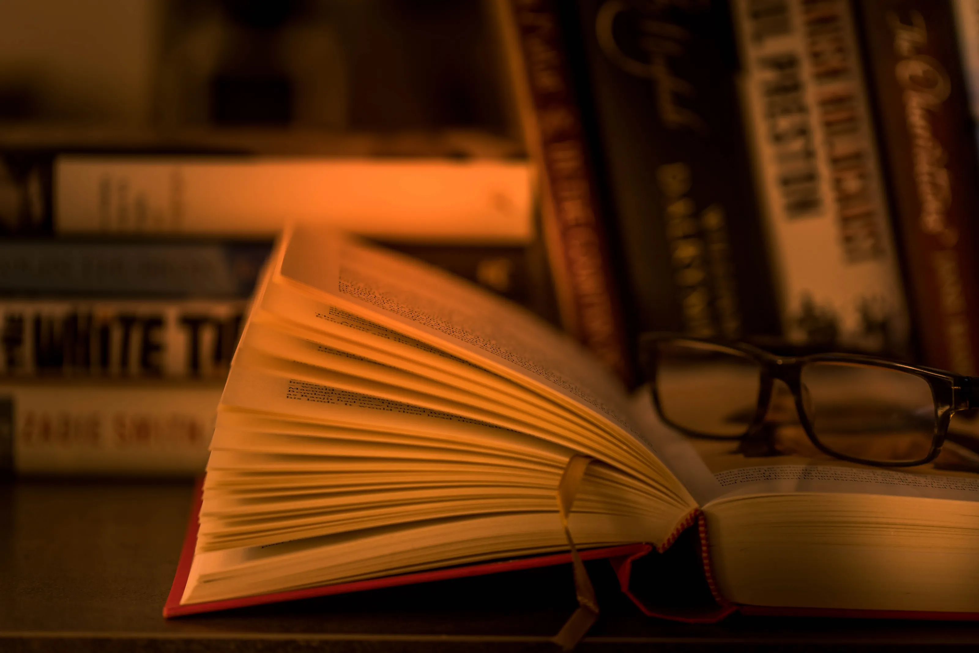The pleasure of reading