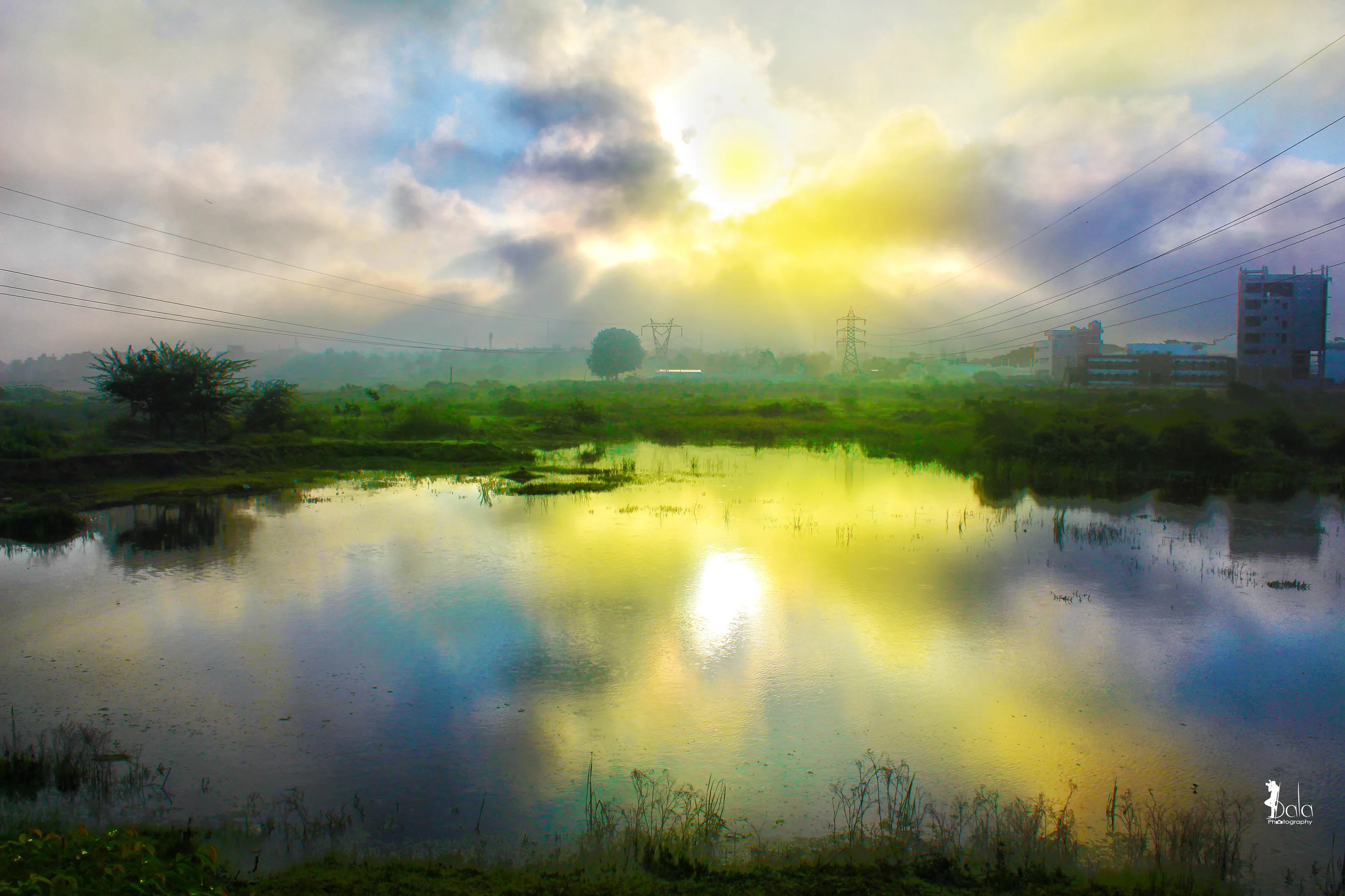 Landscape