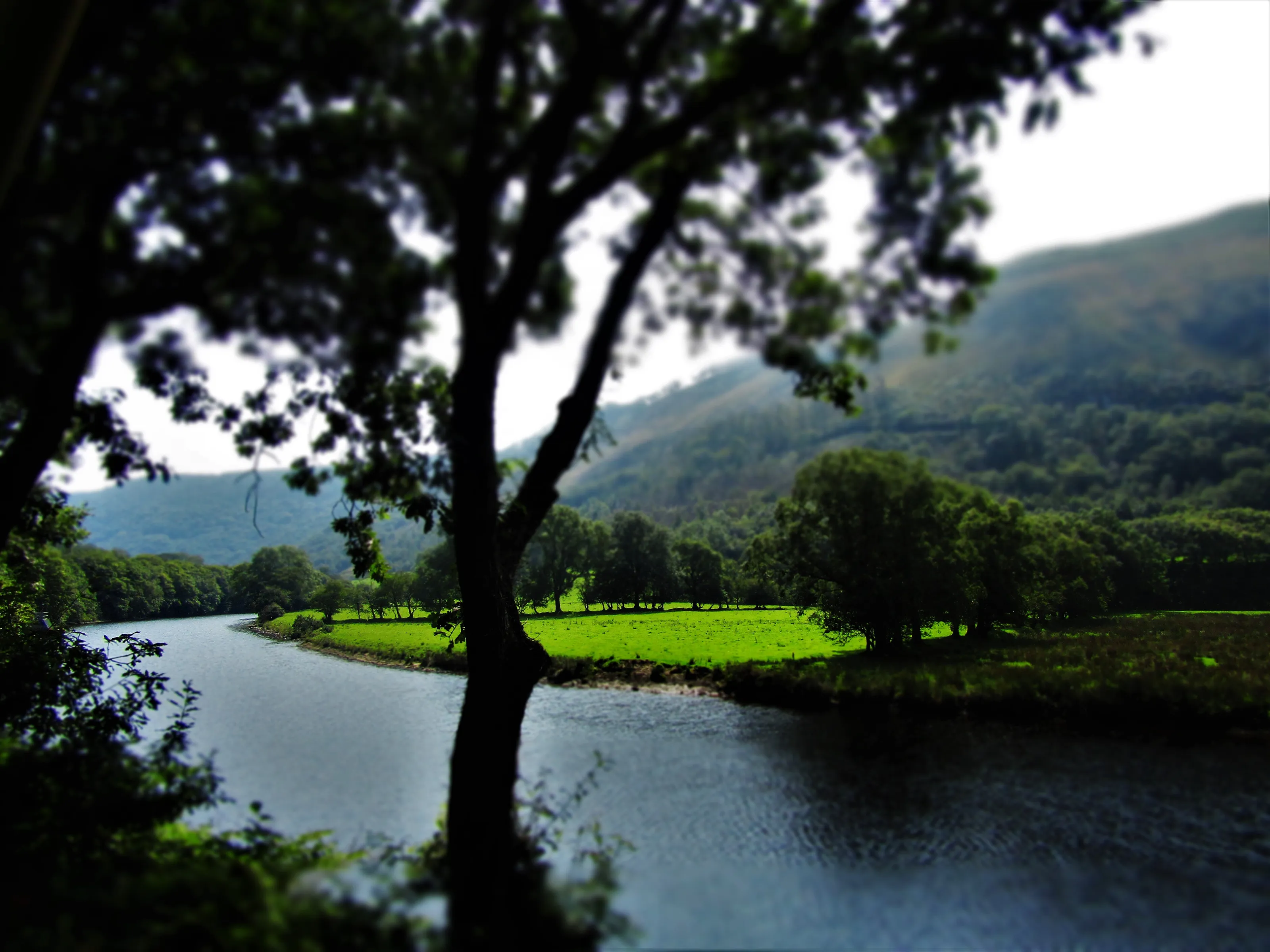 Beautiful greenfields - natural and untouched by humans