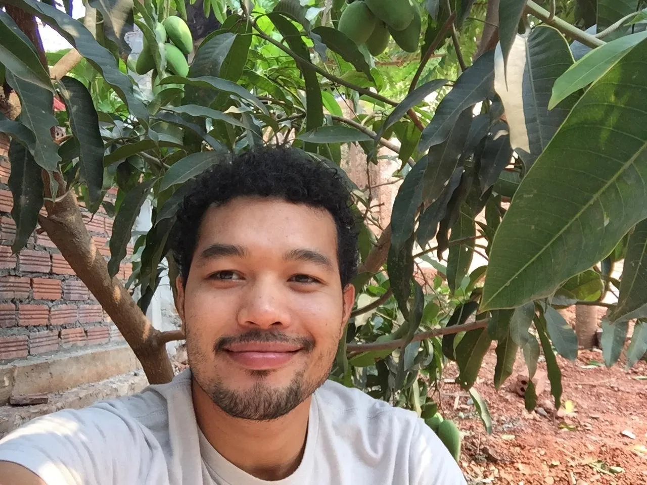 Banner image