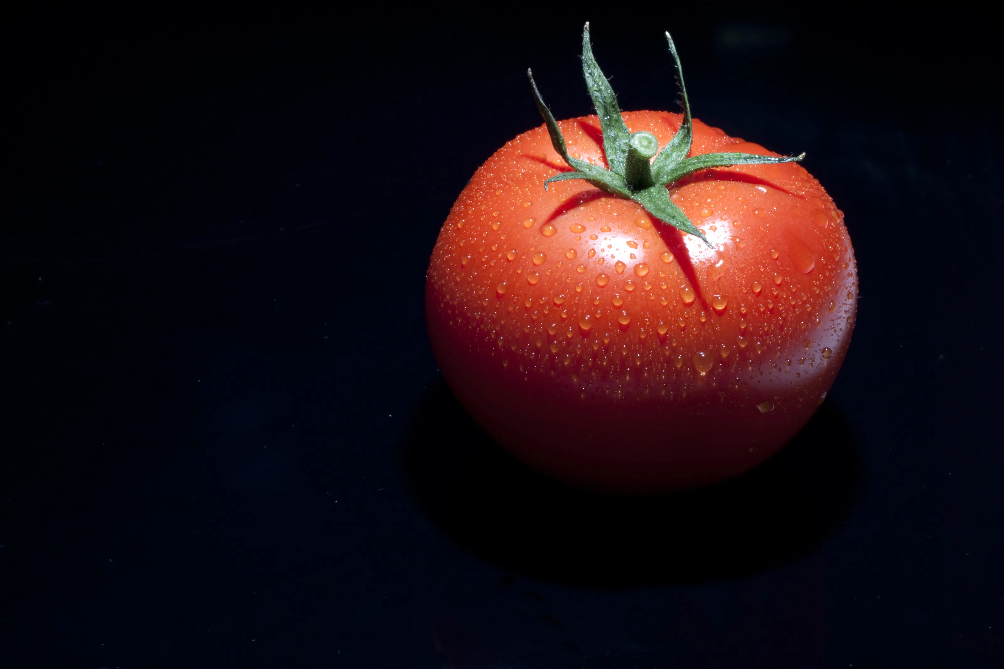 Tomato