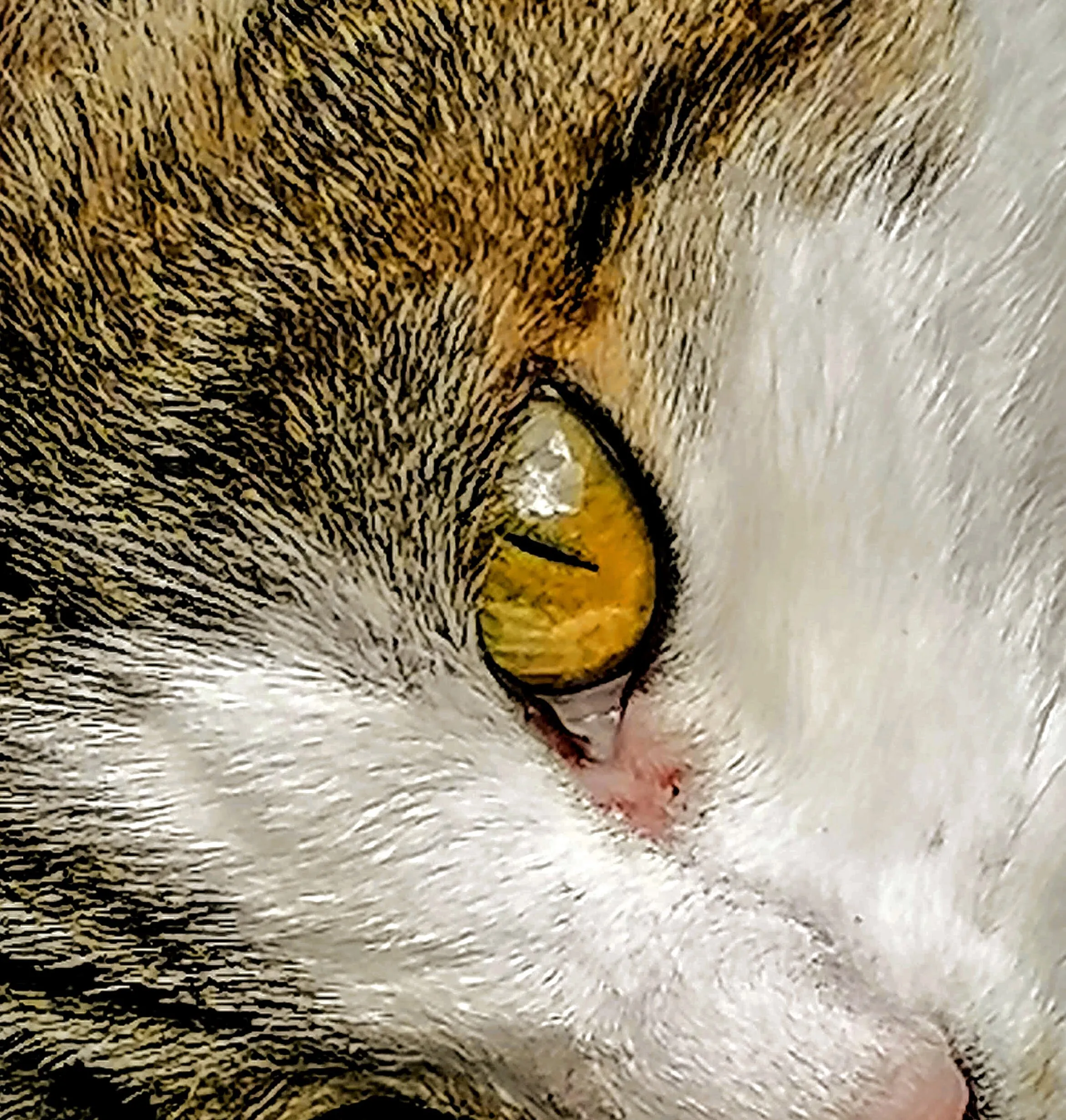 I'm always watching