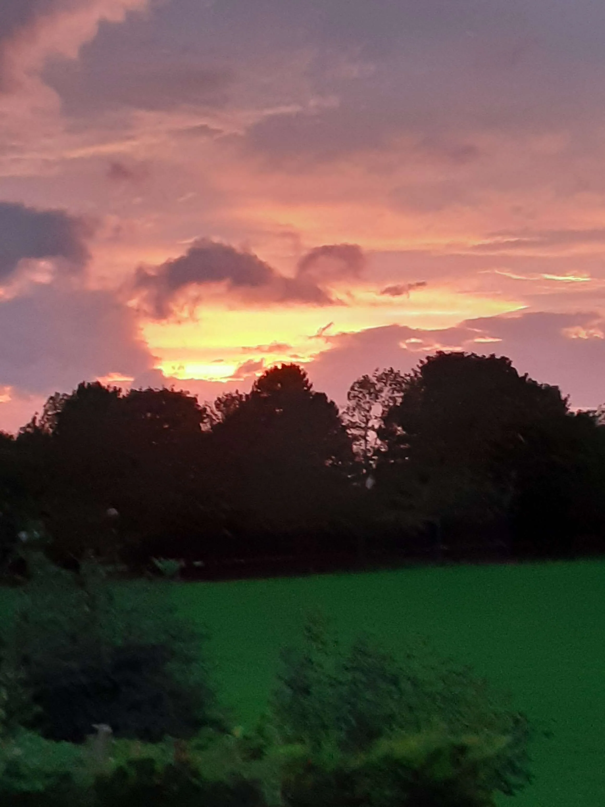 View From My Window