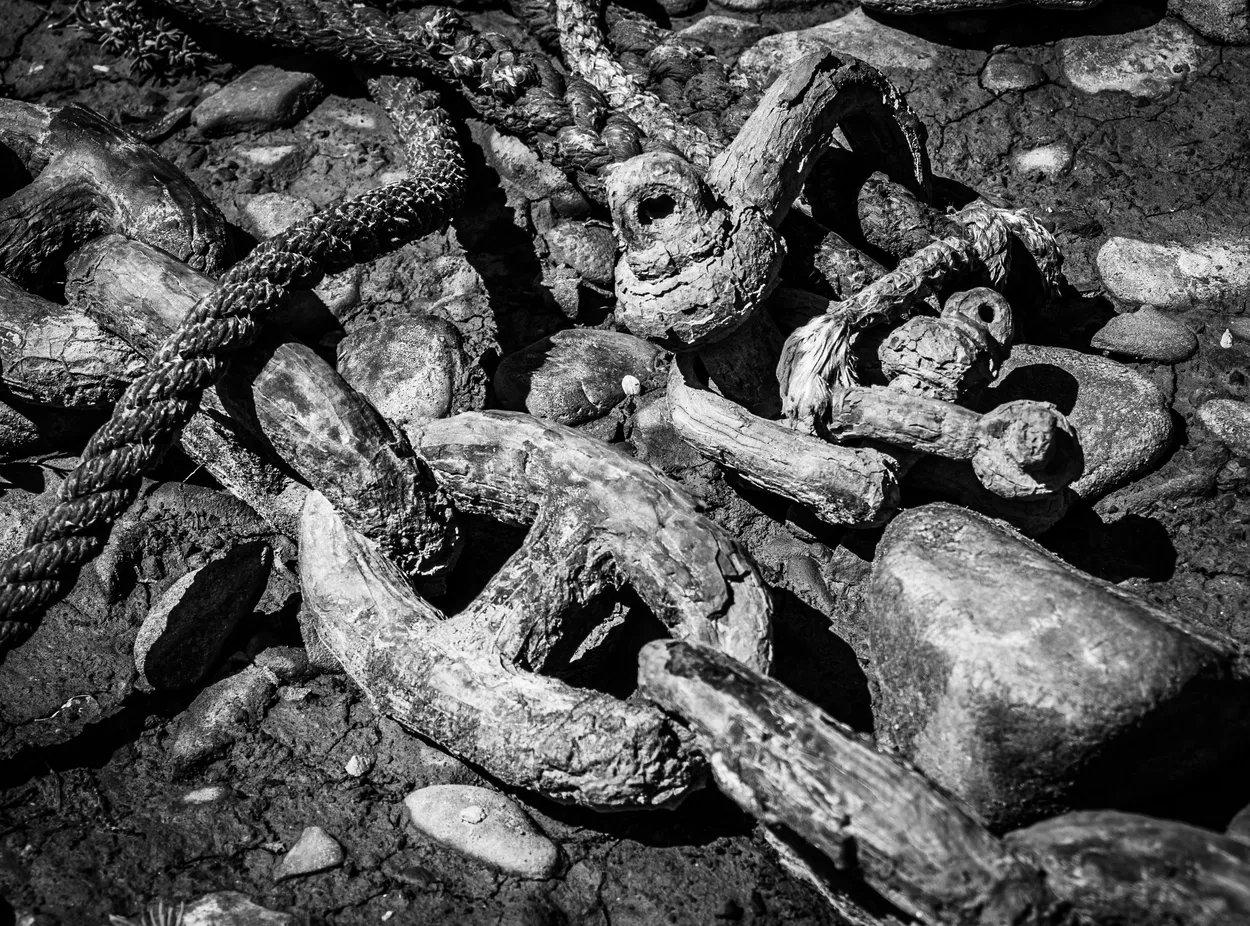Entry 7276075