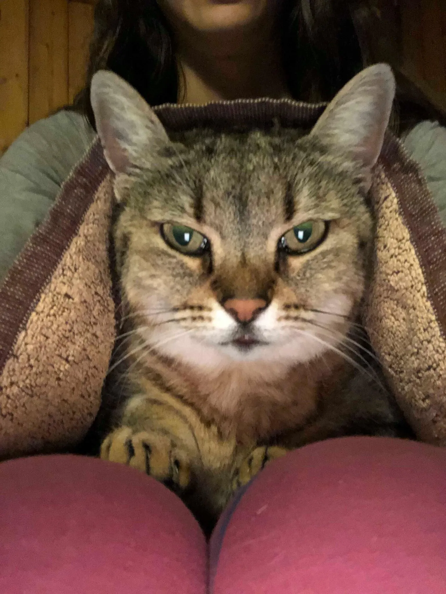I like to be warm