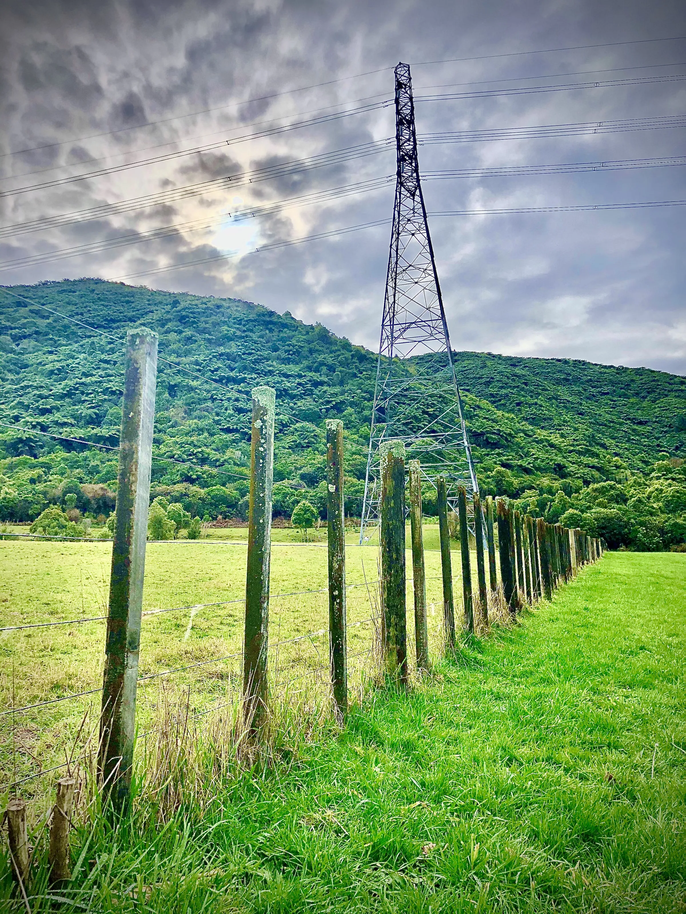 Contrasts of the Rural Landscape