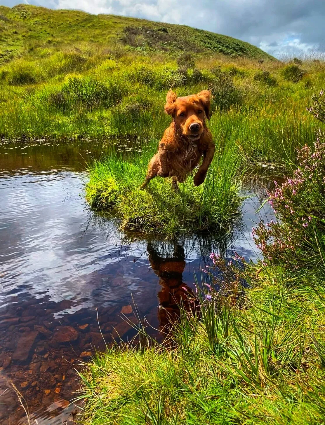 Leap of faith