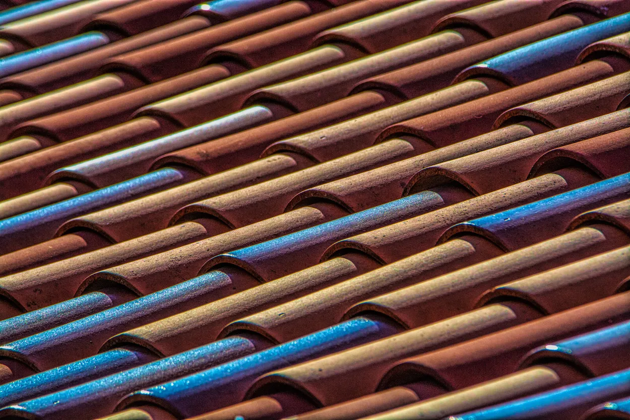 Entry 11895997
