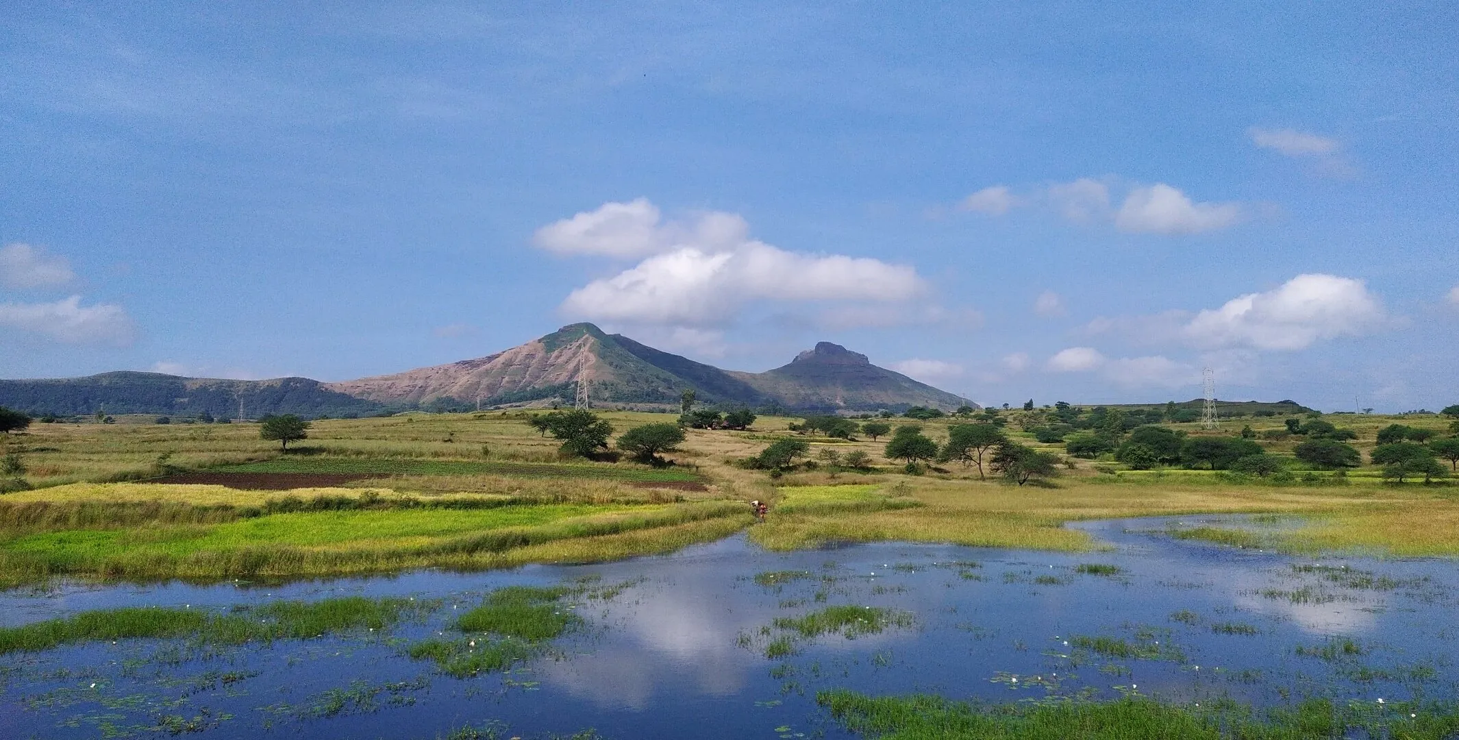 Landscape