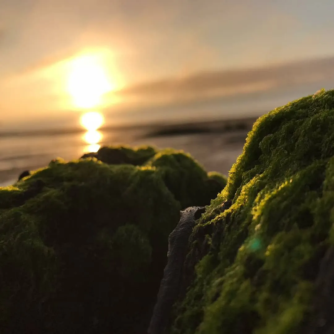Beach sunrise