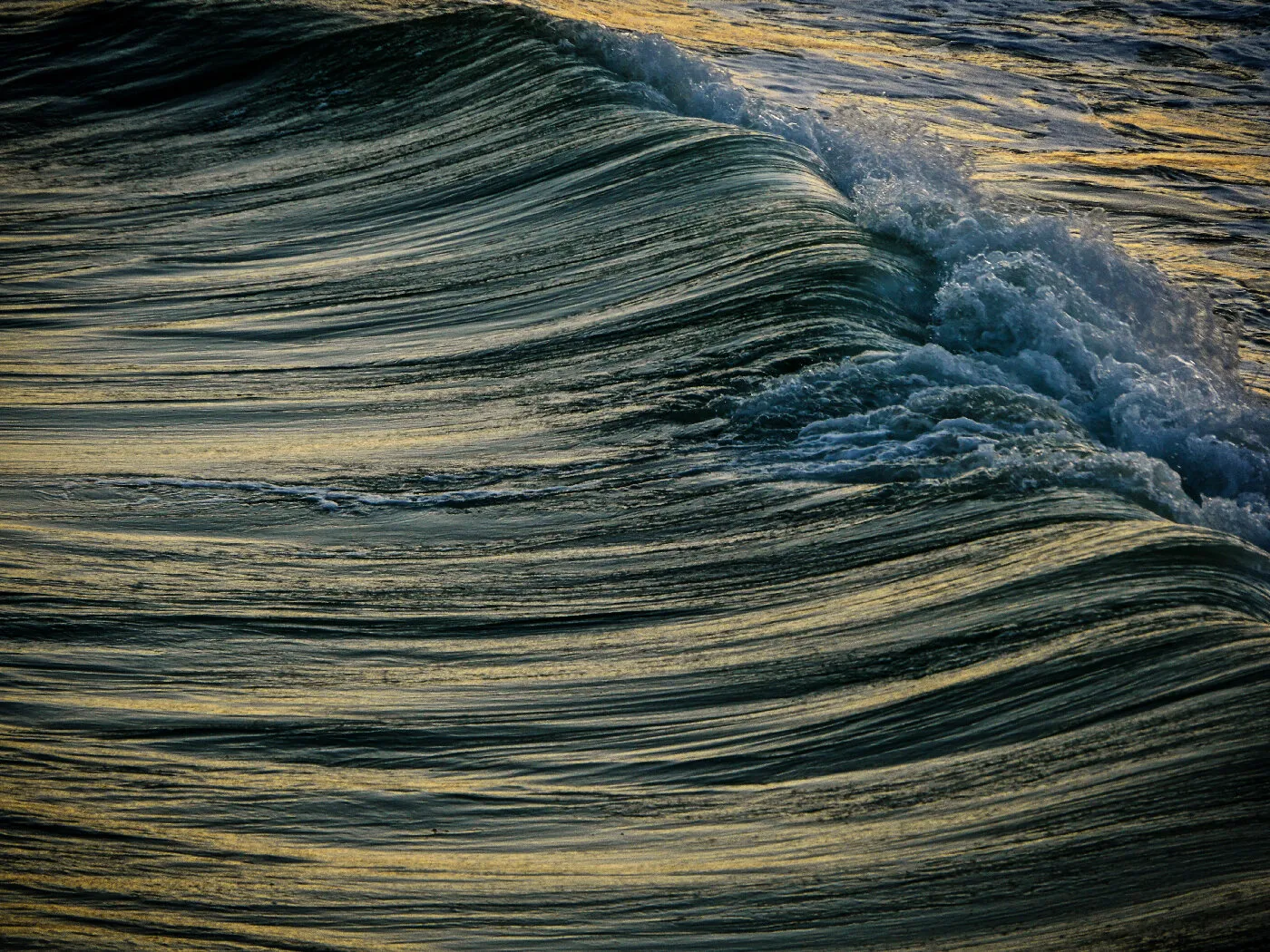 Evening wave