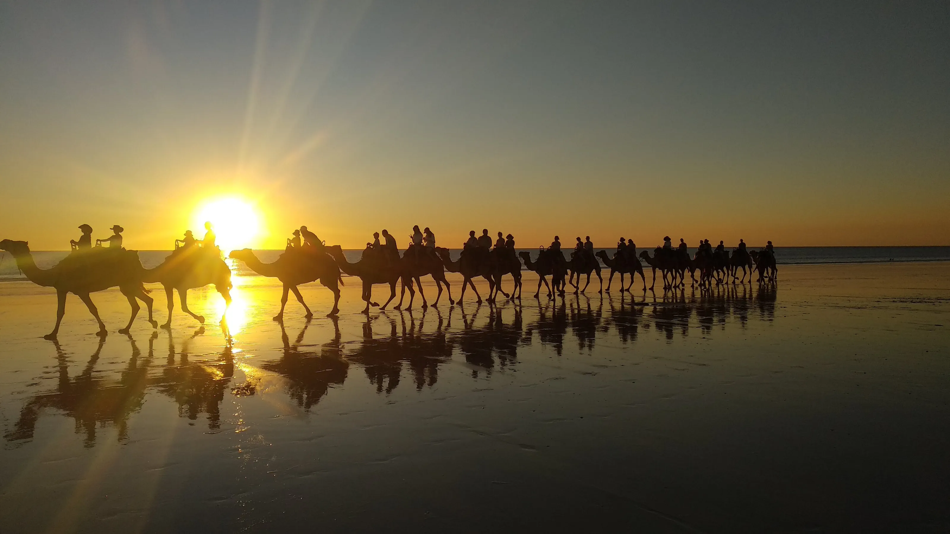 Cable Camels