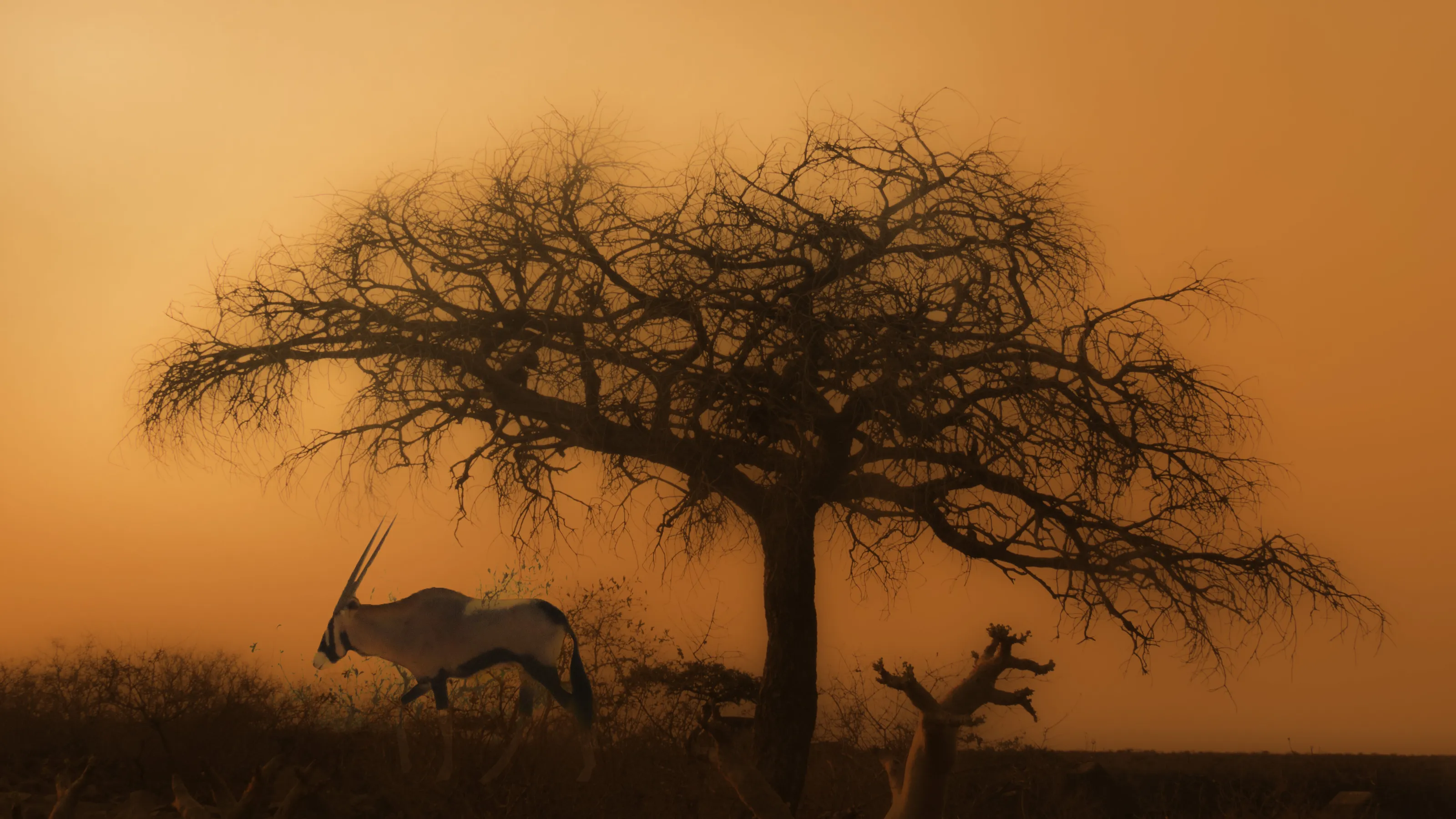 Namibia fall