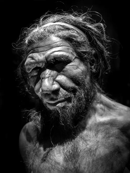 Portrait of a Neanderthal Man
