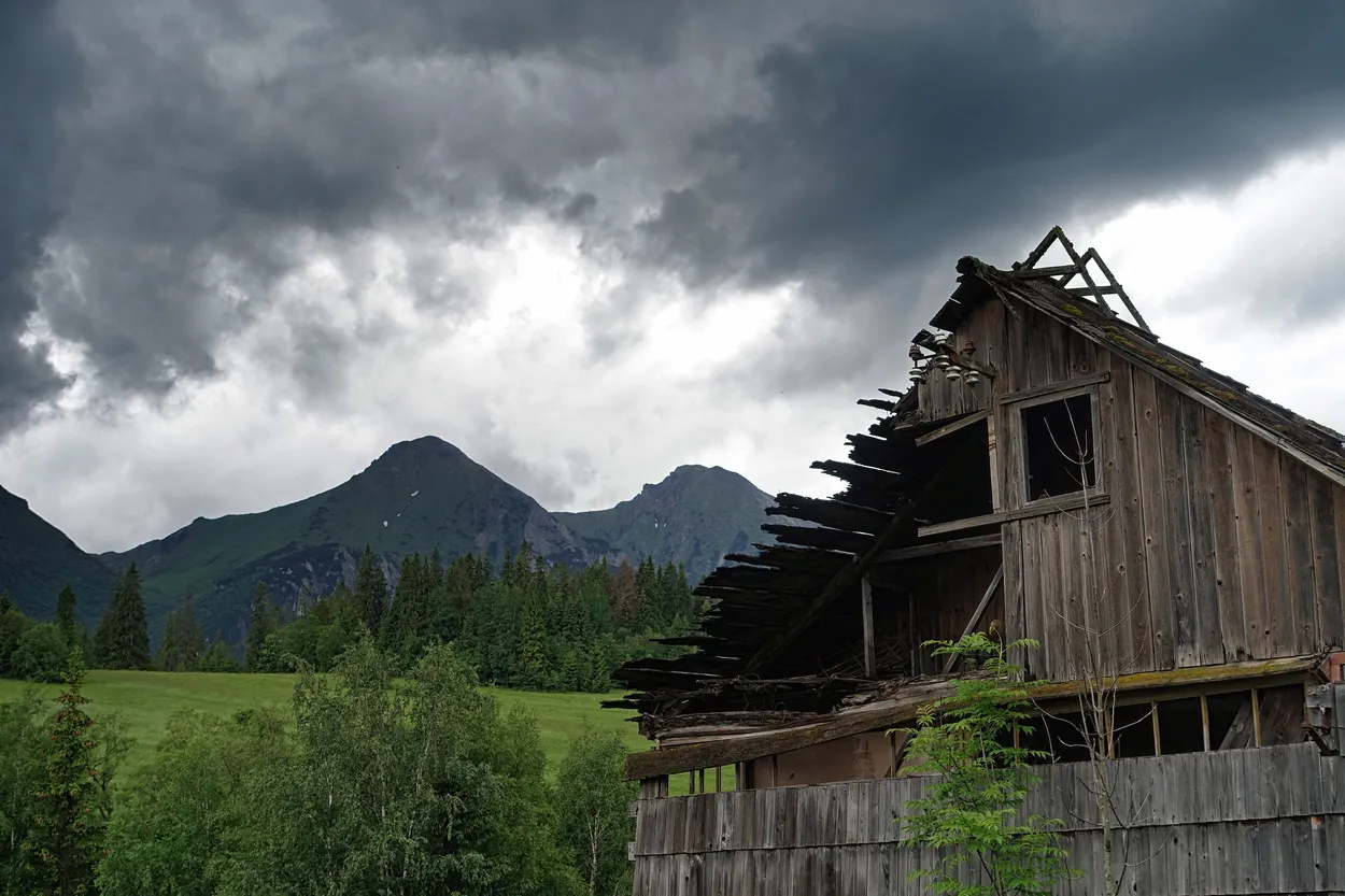Entry 927462