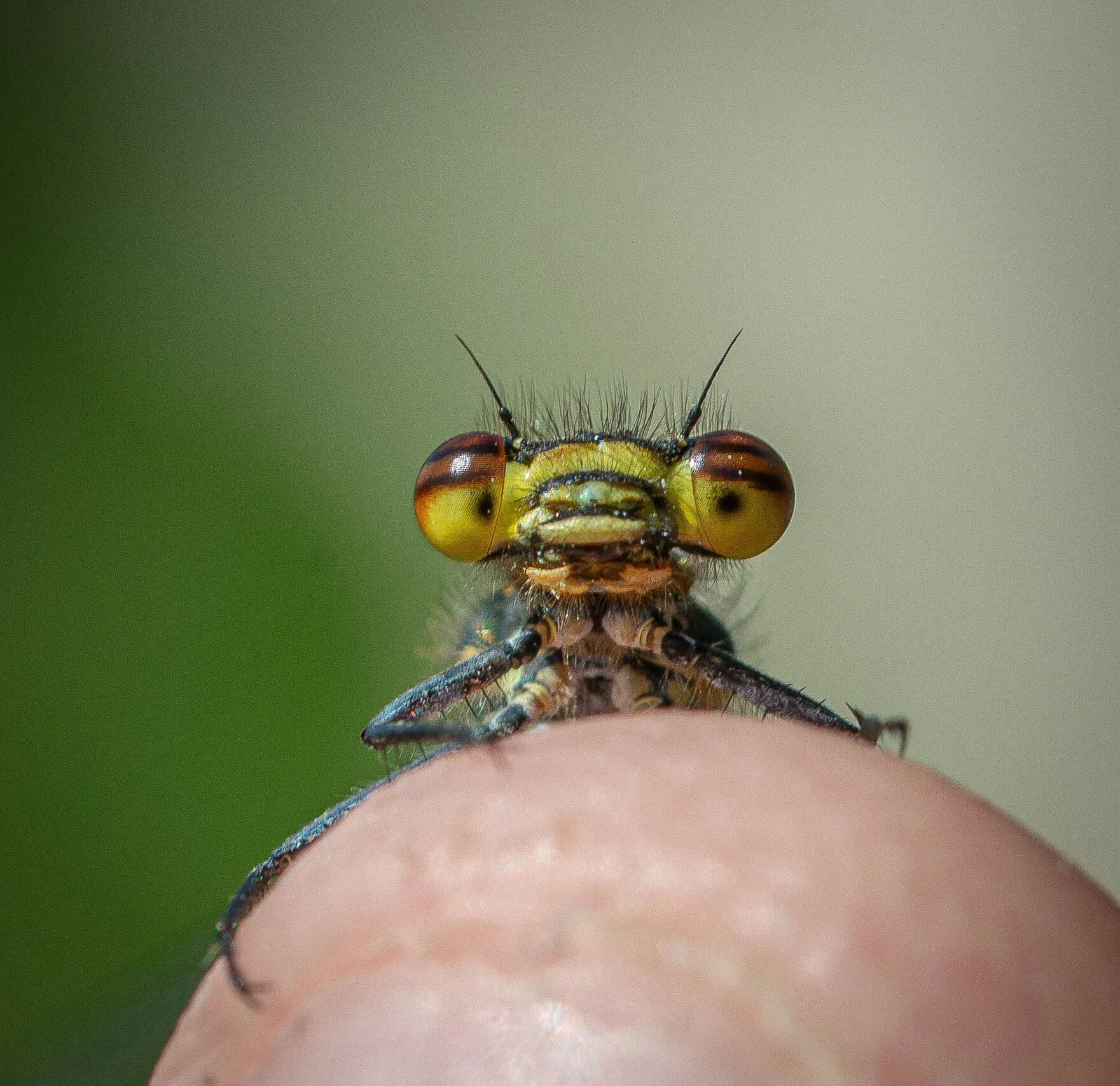 Hey there friend