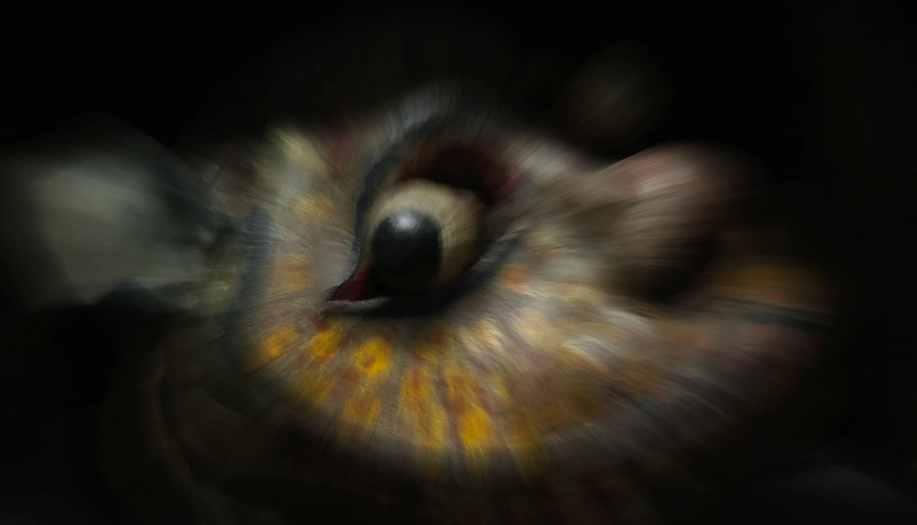 Here's Looking at You