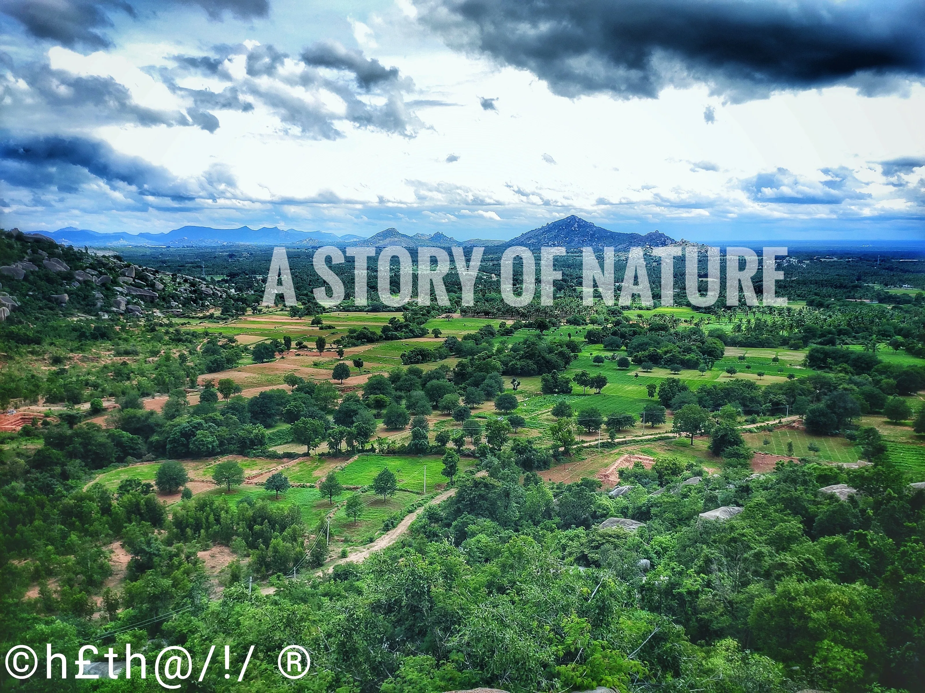 A story of a nature