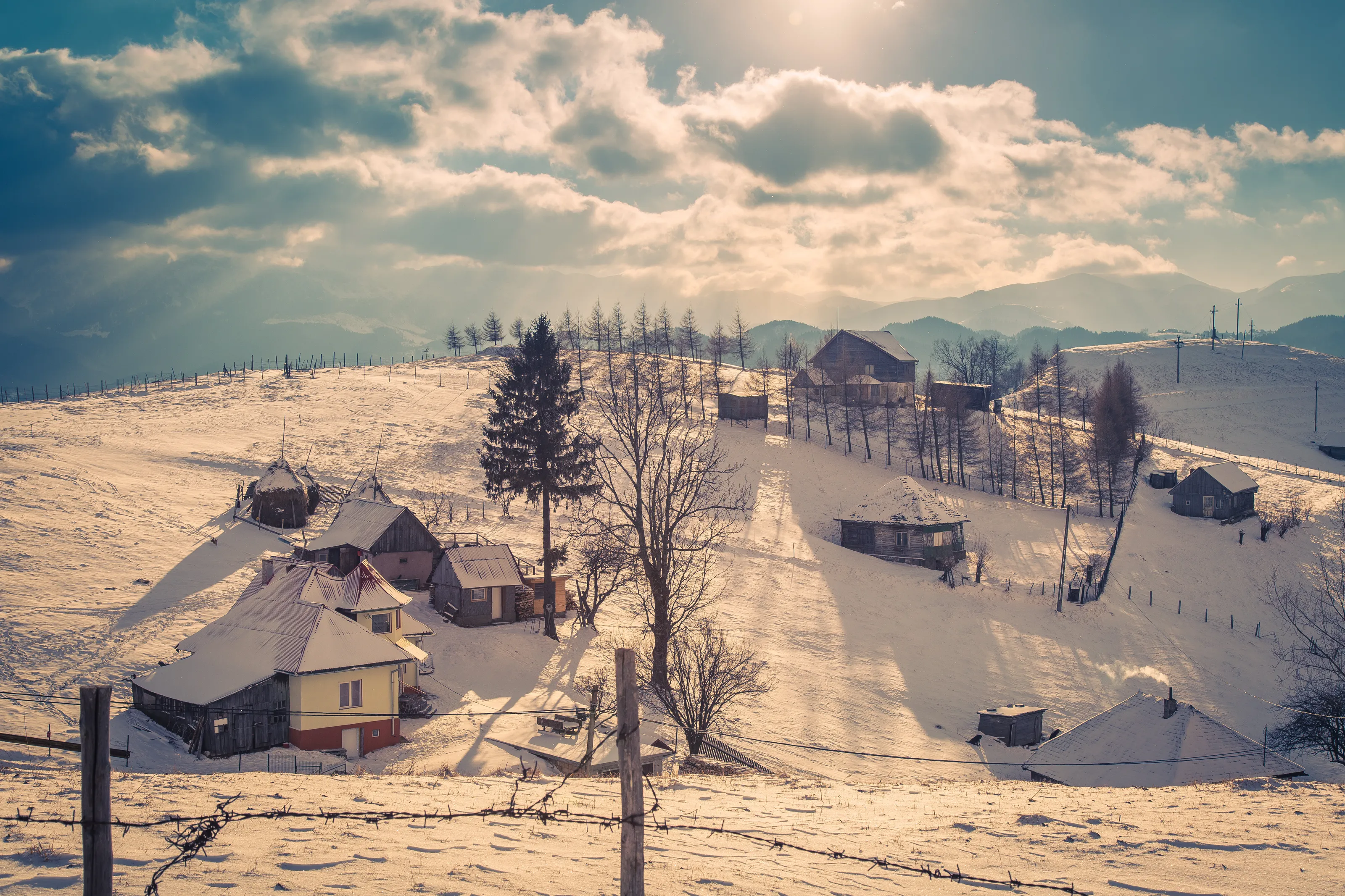 Winter landscapes