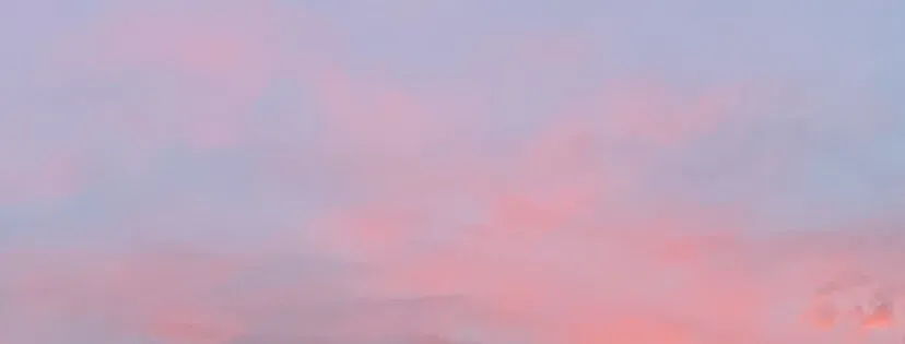 Banner image