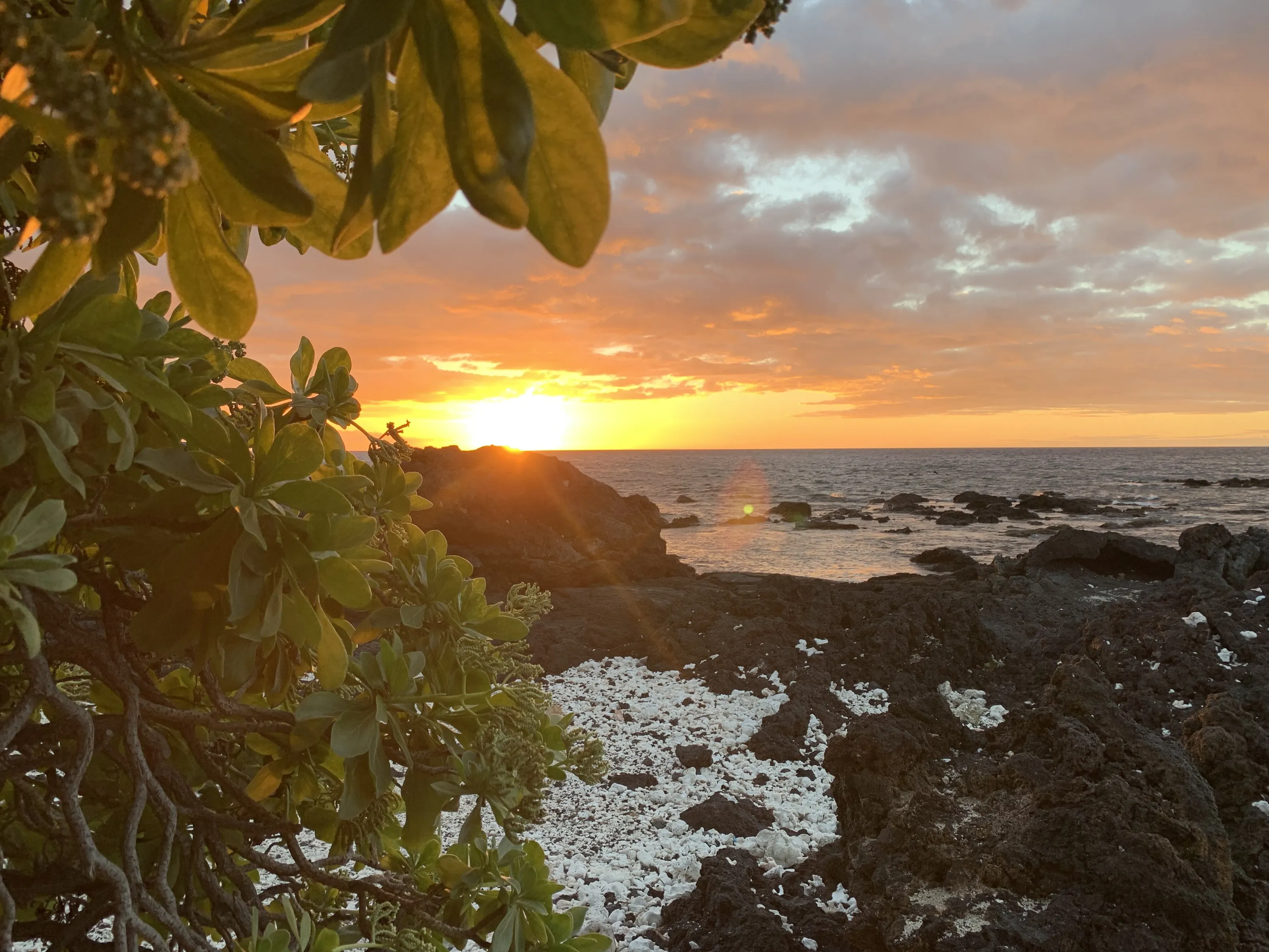 Kona Twilight