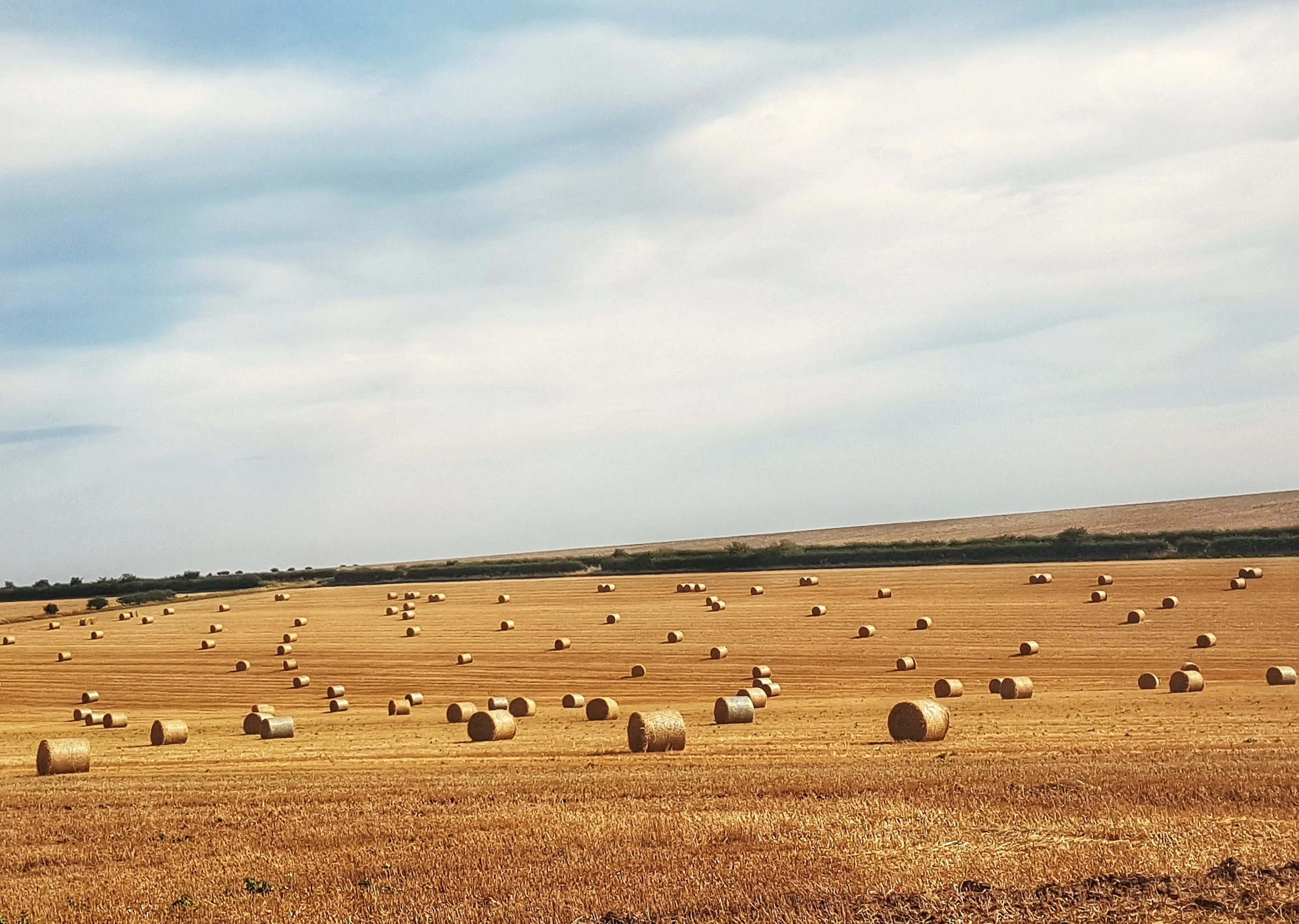 Harvest