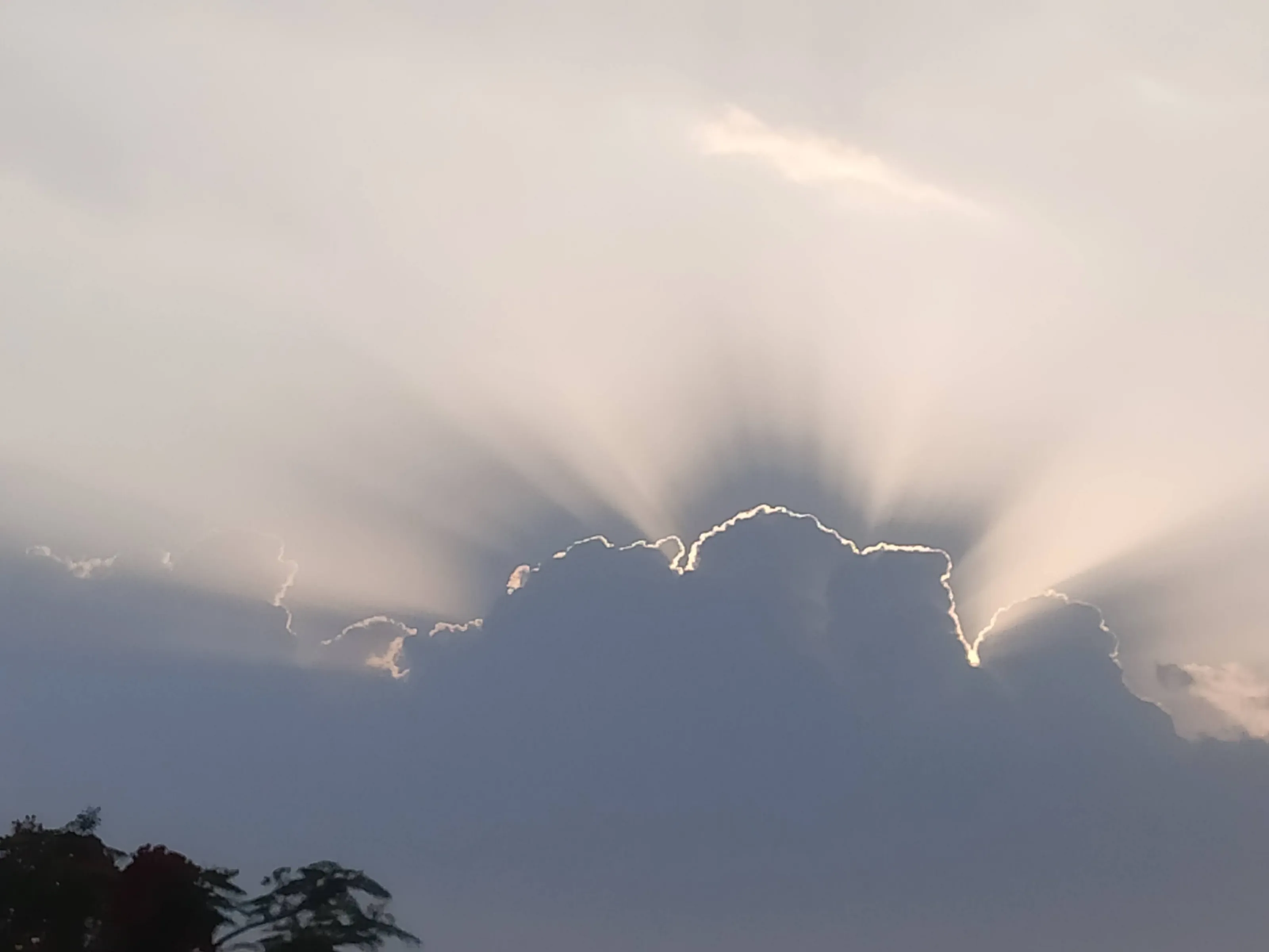 Rays of light