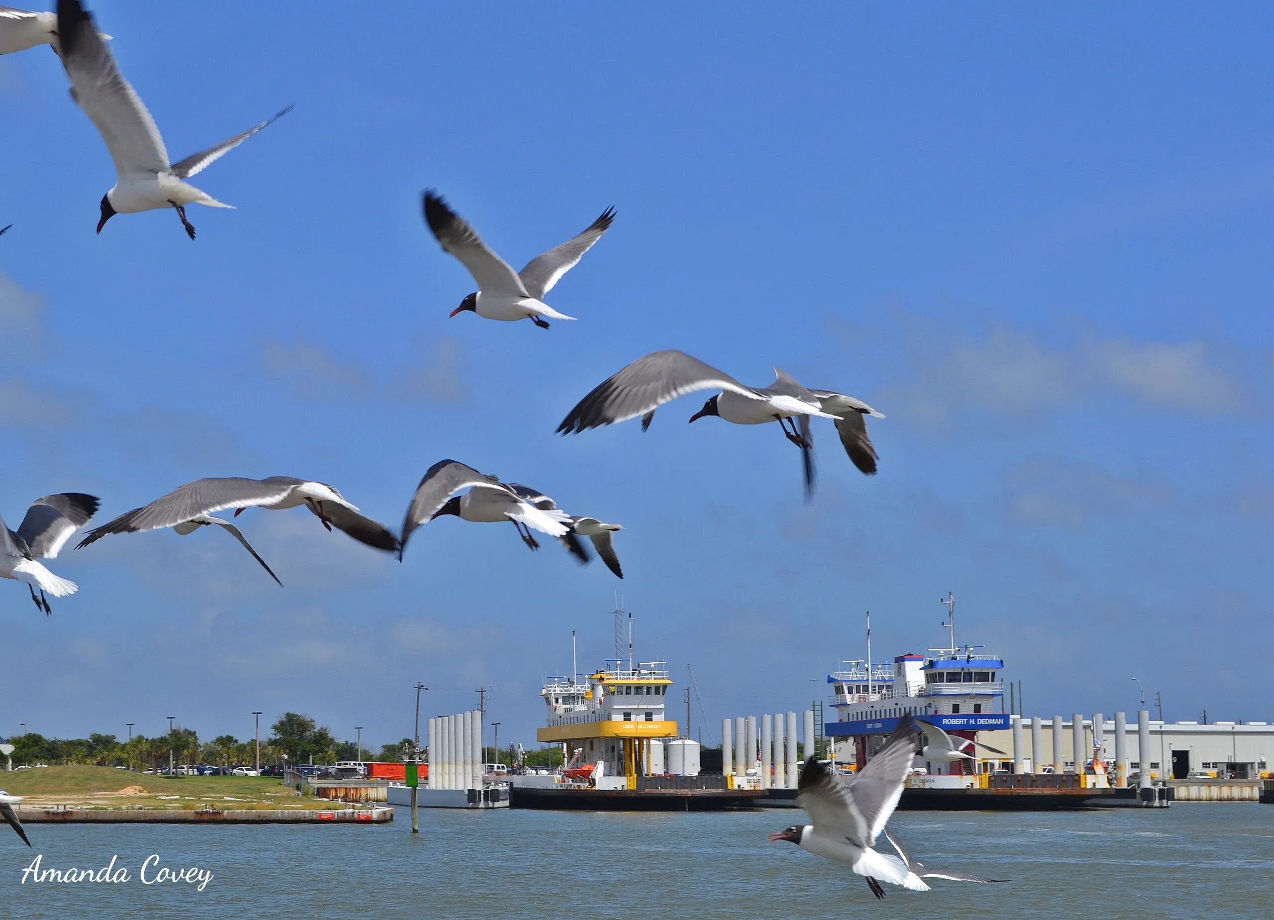 Ferry Boats in Galveston