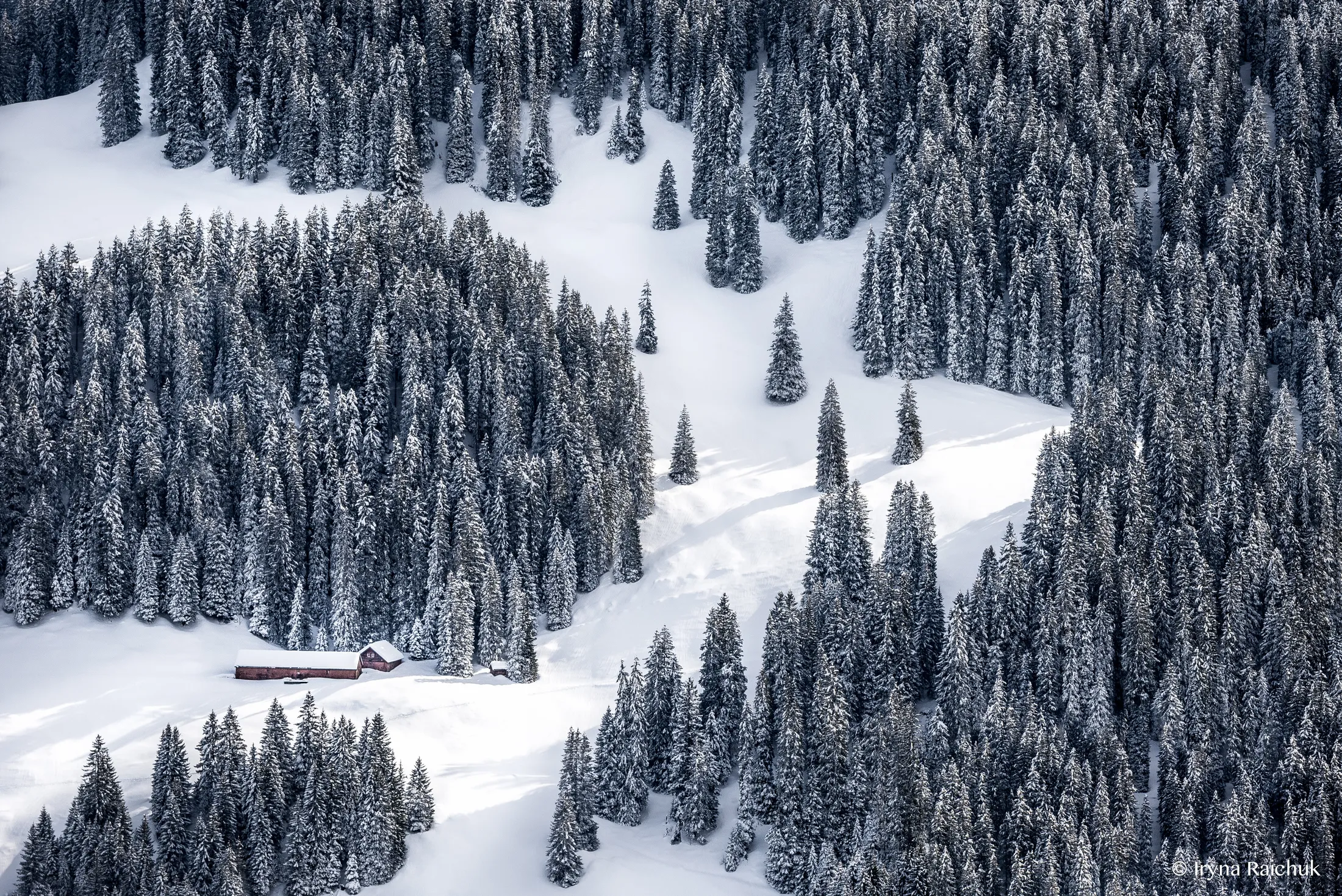 Woodland pattern
