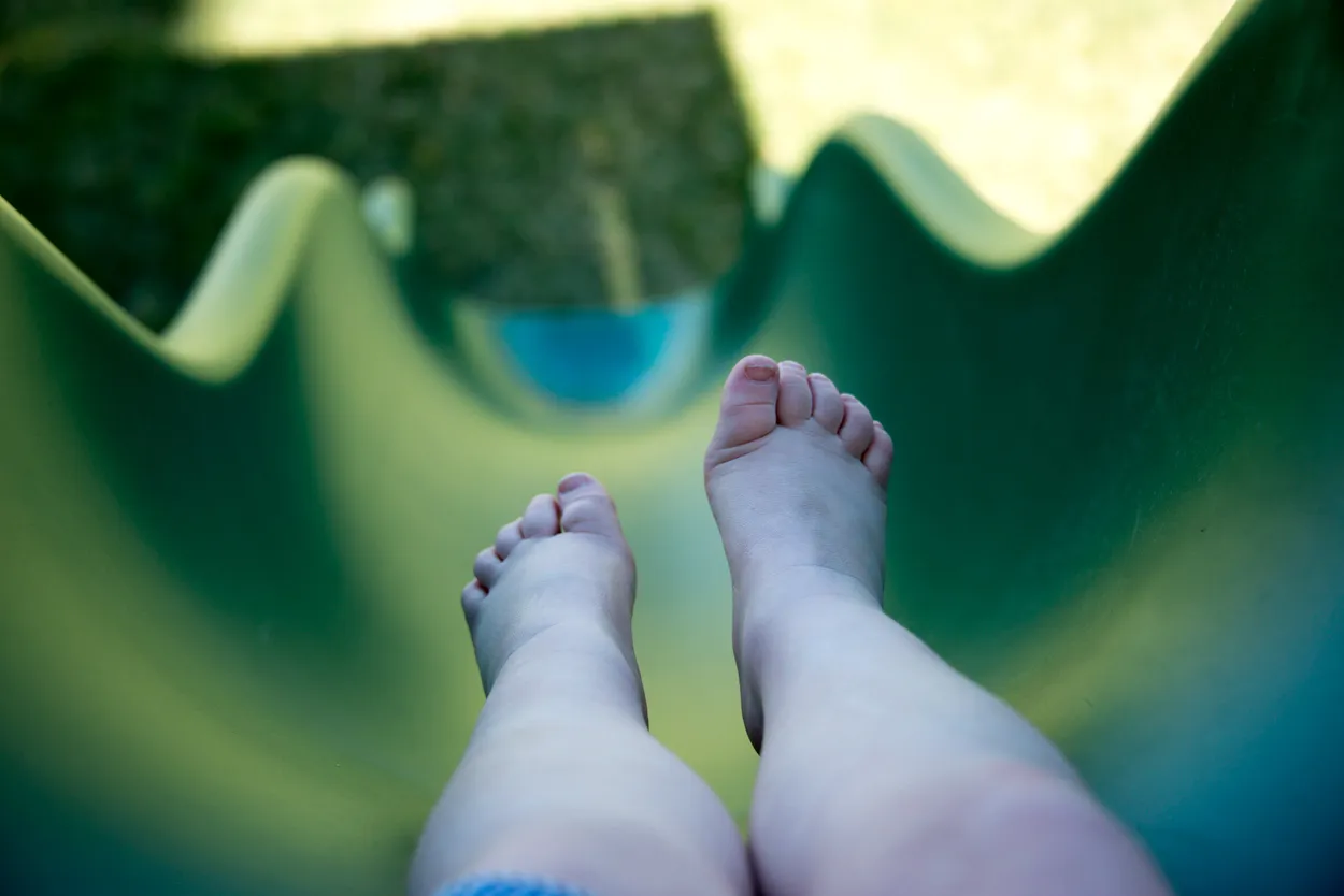 Entry 7368654