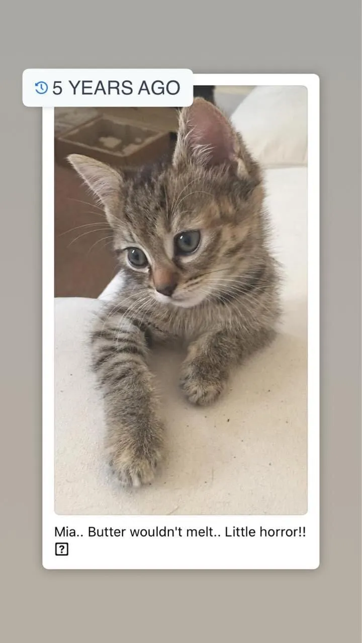 Little cutie