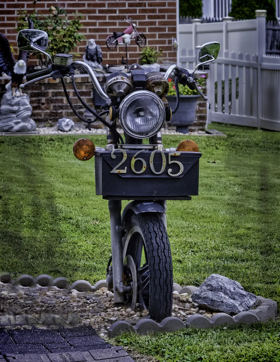 Entry 7381780