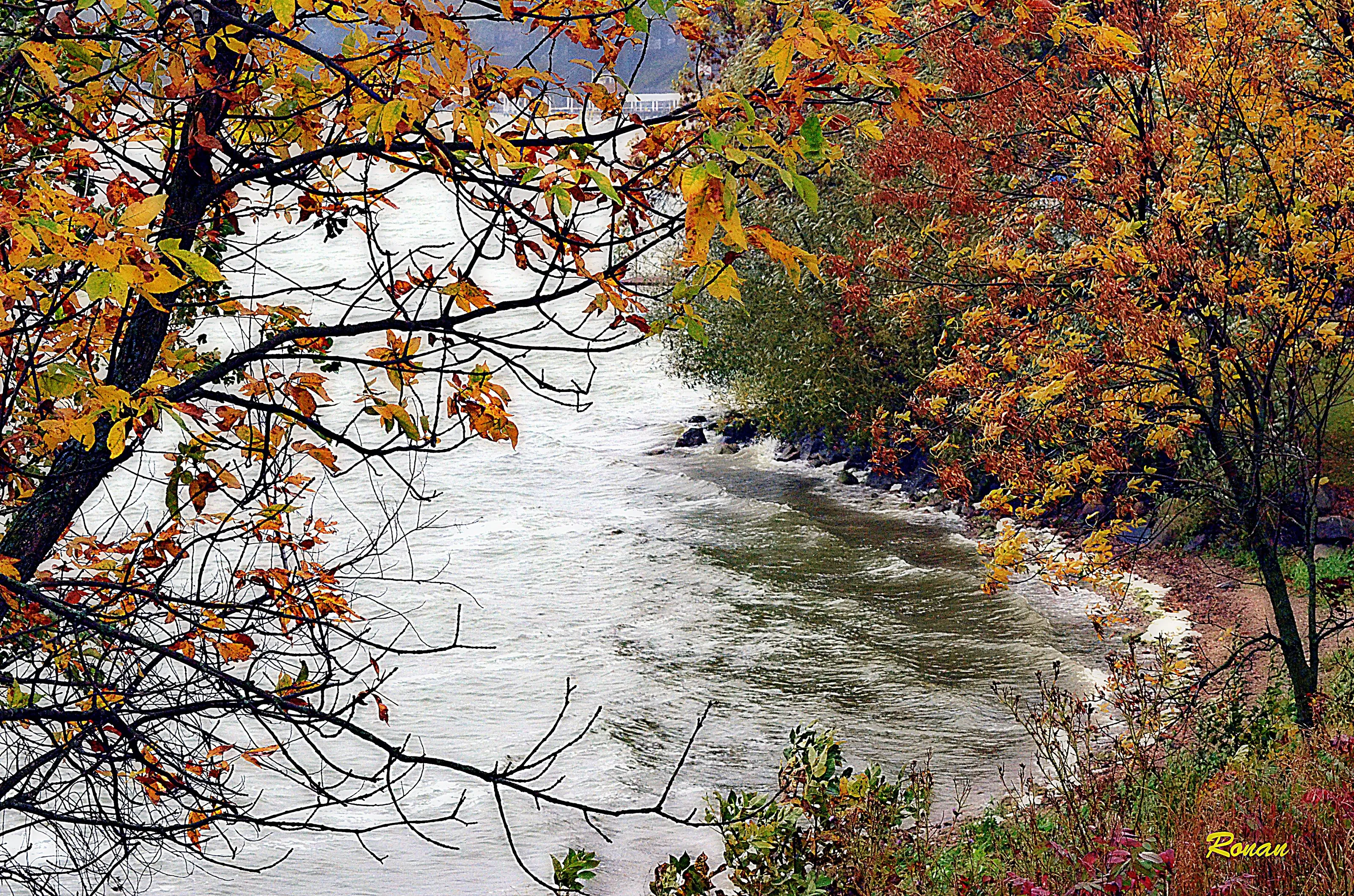 Fall View
