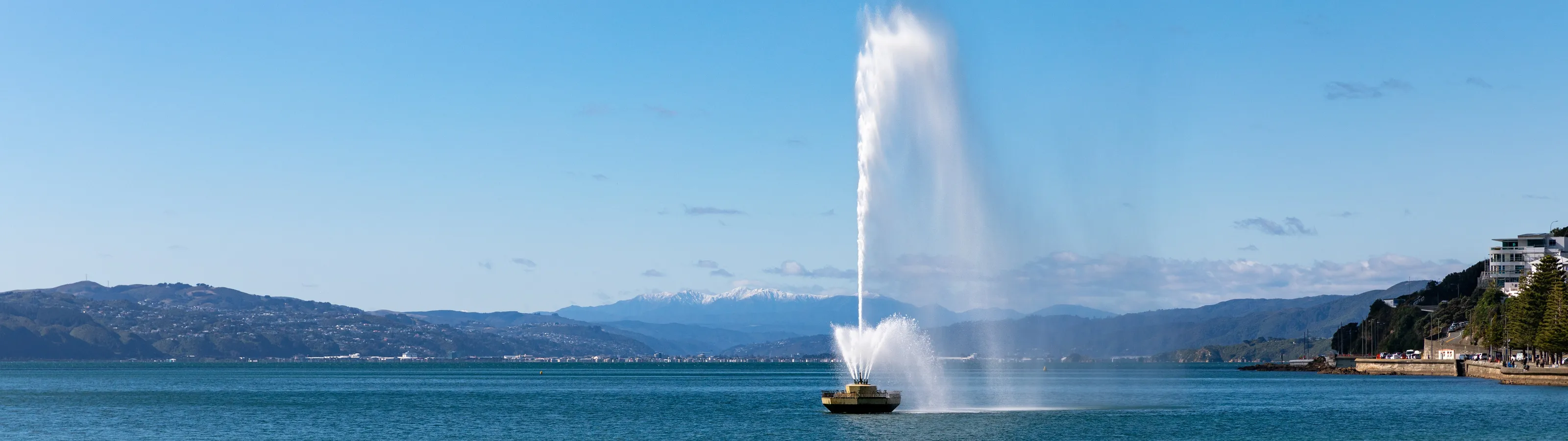 Wellington
