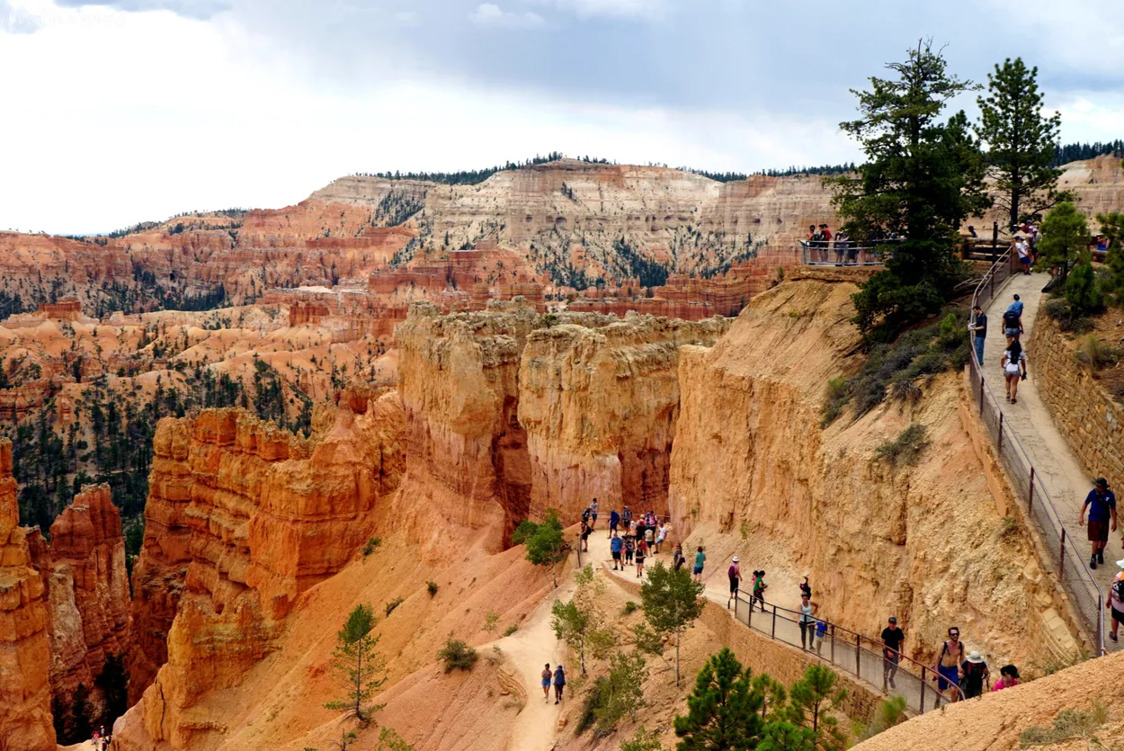 Entry 13799282